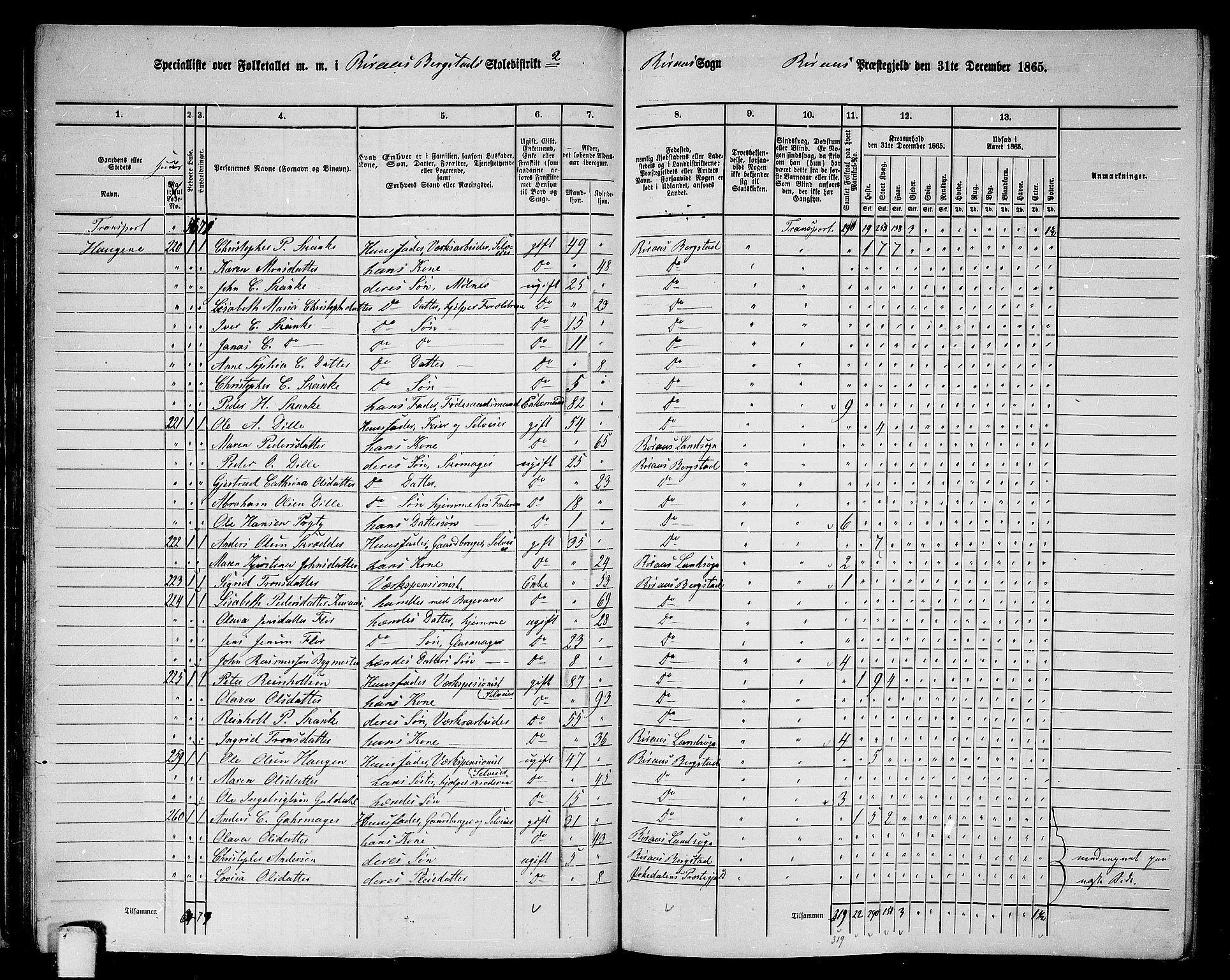 RA, 1865 census for Røros, 1865, p. 43