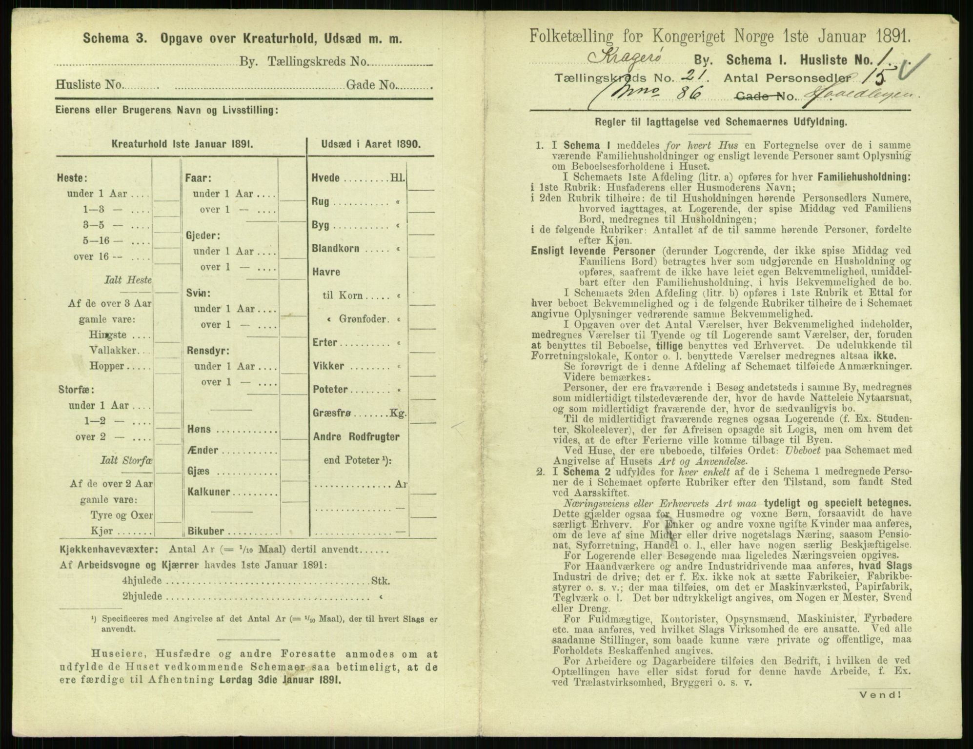 RA, 1891 census for 0801 Kragerø, 1891, p. 846