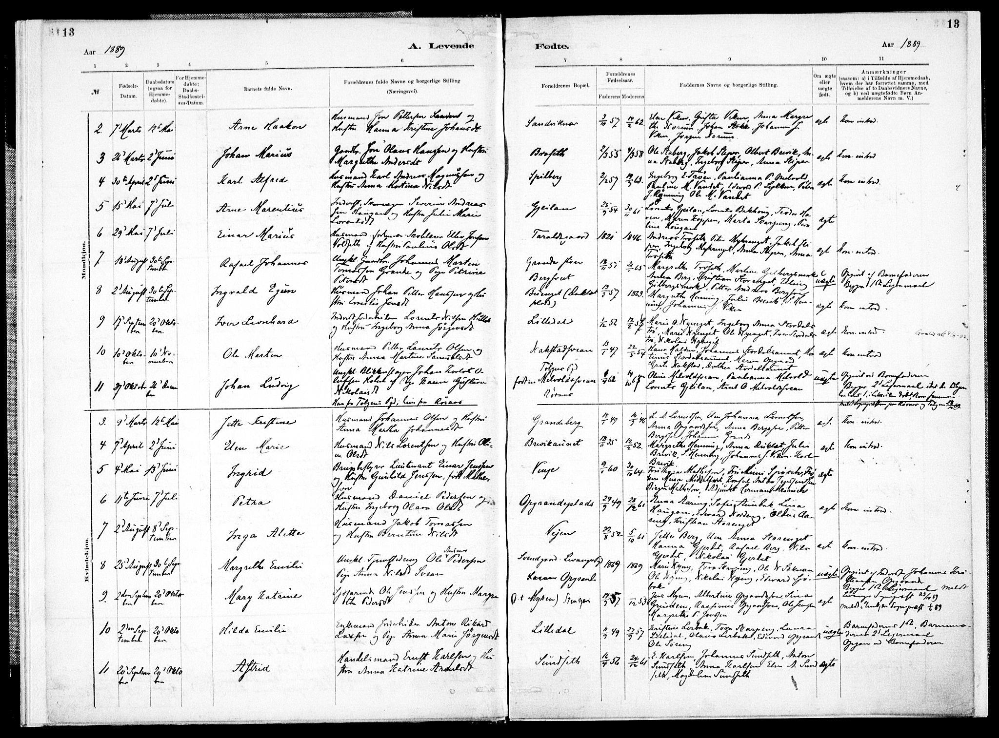Ministerialprotokoller, klokkerbøker og fødselsregistre - Nord-Trøndelag, SAT/A-1458/733/L0325: Parish register (official) no. 733A04, 1884-1908, p. 13