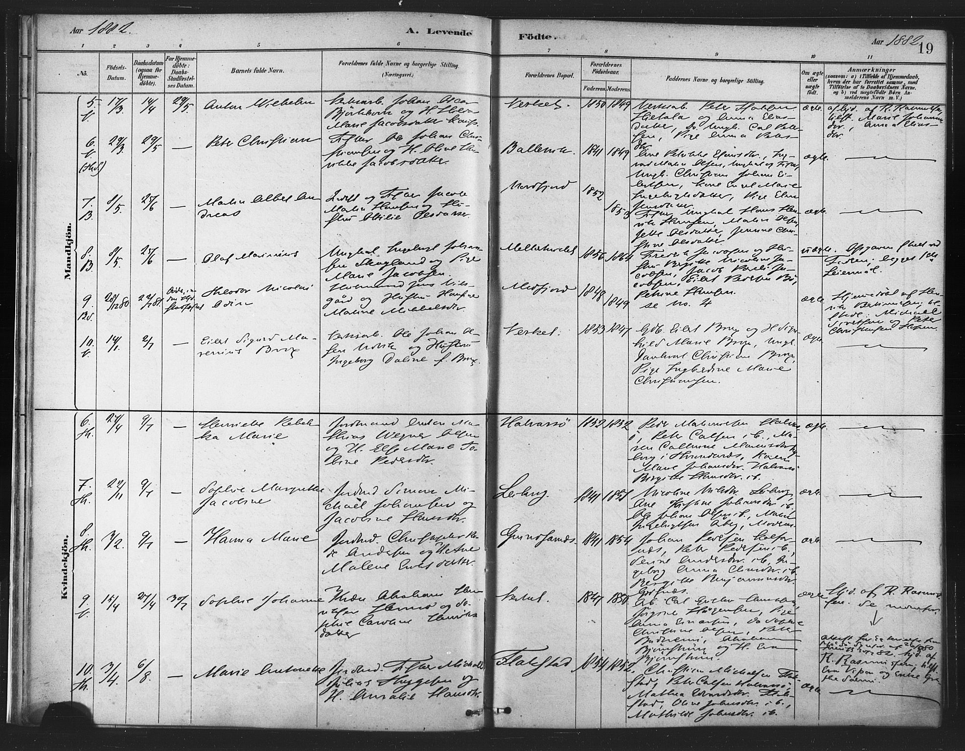 Berg sokneprestkontor, AV/SATØ-S-1318/G/Ga/Gaa/L0004kirke: Parish register (official) no. 4, 1880-1894, p. 19