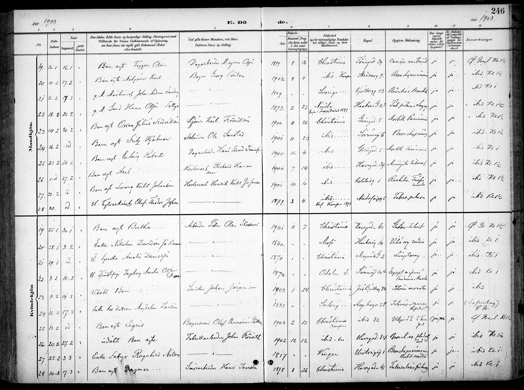 Kampen prestekontor Kirkebøker, SAO/A-10853/F/Fa/L0009: Parish register (official) no. I 9, 1899-1911, p. 246