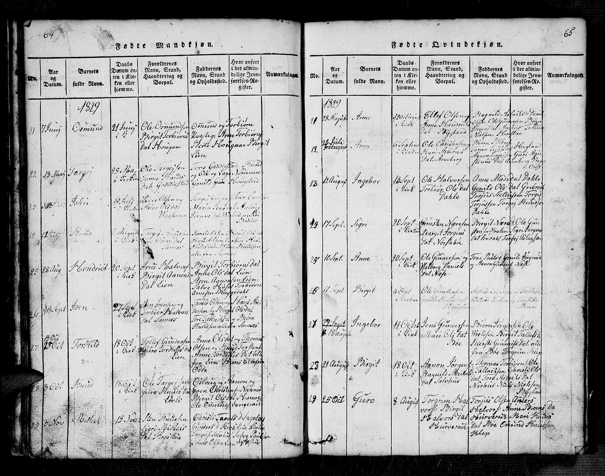 Bygland sokneprestkontor, AV/SAK-1111-0006/F/Fb/Fbb/L0001: Parish register (copy) no. B 1, 1816-1843, p. 64-65