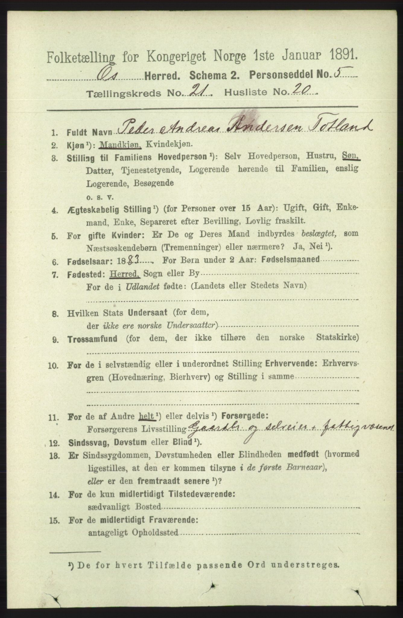 RA, 1891 census for 1243 Os, 1891, p. 4981