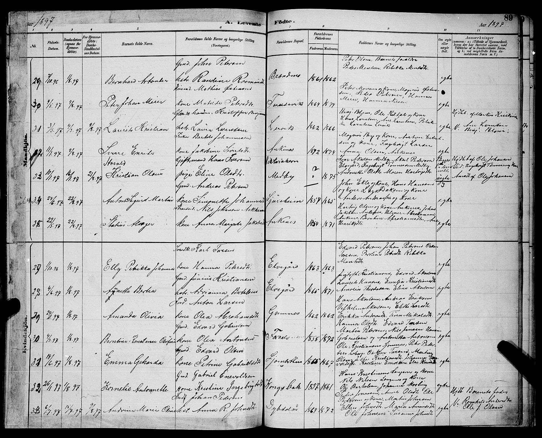 Ministerialprotokoller, klokkerbøker og fødselsregistre - Nordland, AV/SAT-A-1459/866/L0952: Parish register (copy) no. 866C01, 1886-1899, p. 89