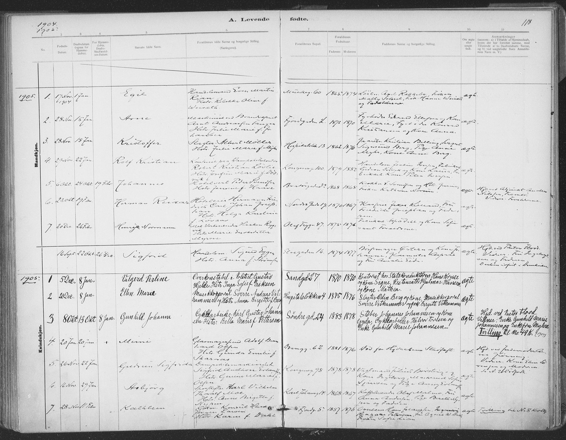 Ministerialprotokoller, klokkerbøker og fødselsregistre - Sør-Trøndelag, SAT/A-1456/602/L0122: Parish register (official) no. 602A20, 1892-1908, p. 118