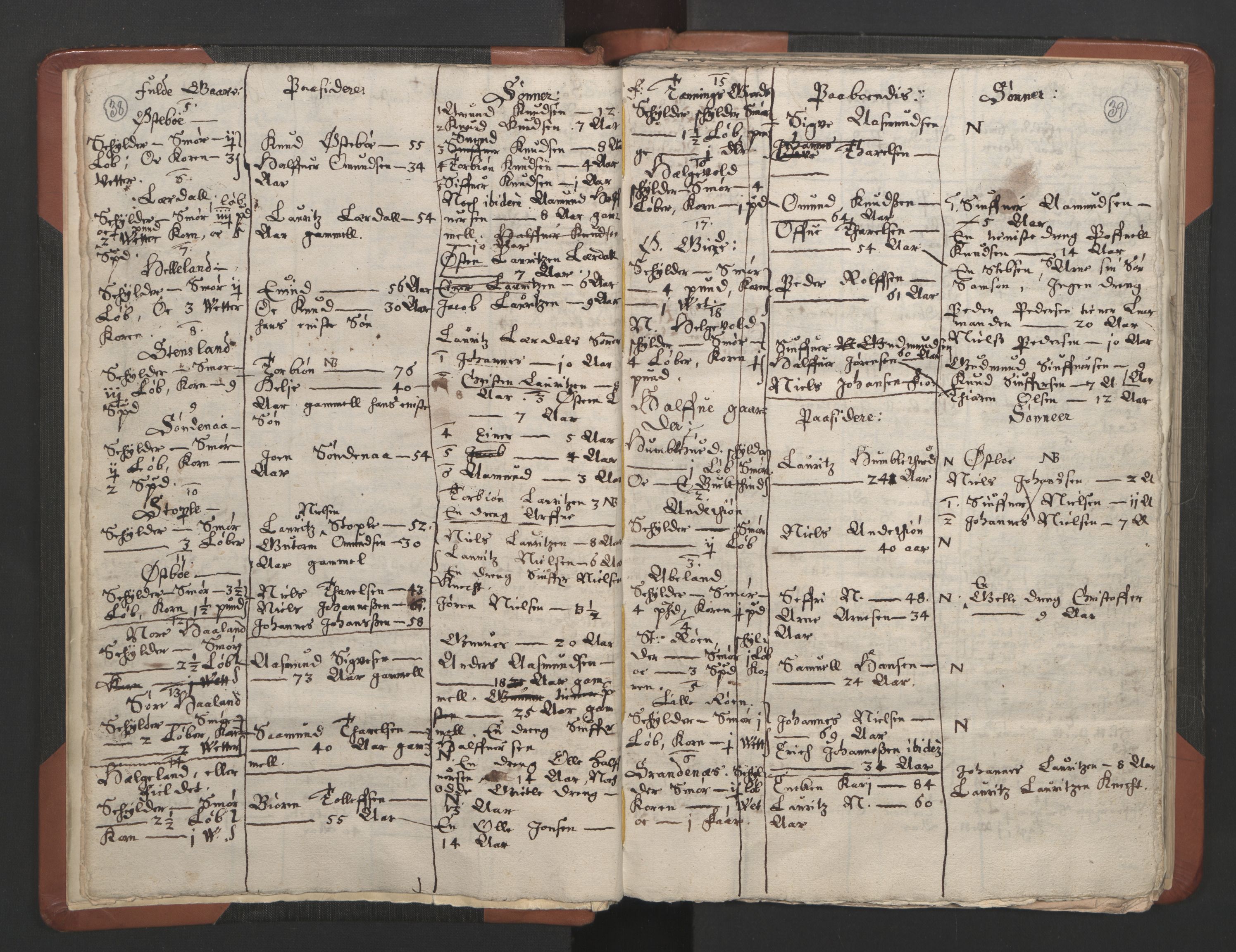 RA, Vicar's Census 1664-1666, no. 19: Ryfylke deanery, 1664-1666, p. 38-39