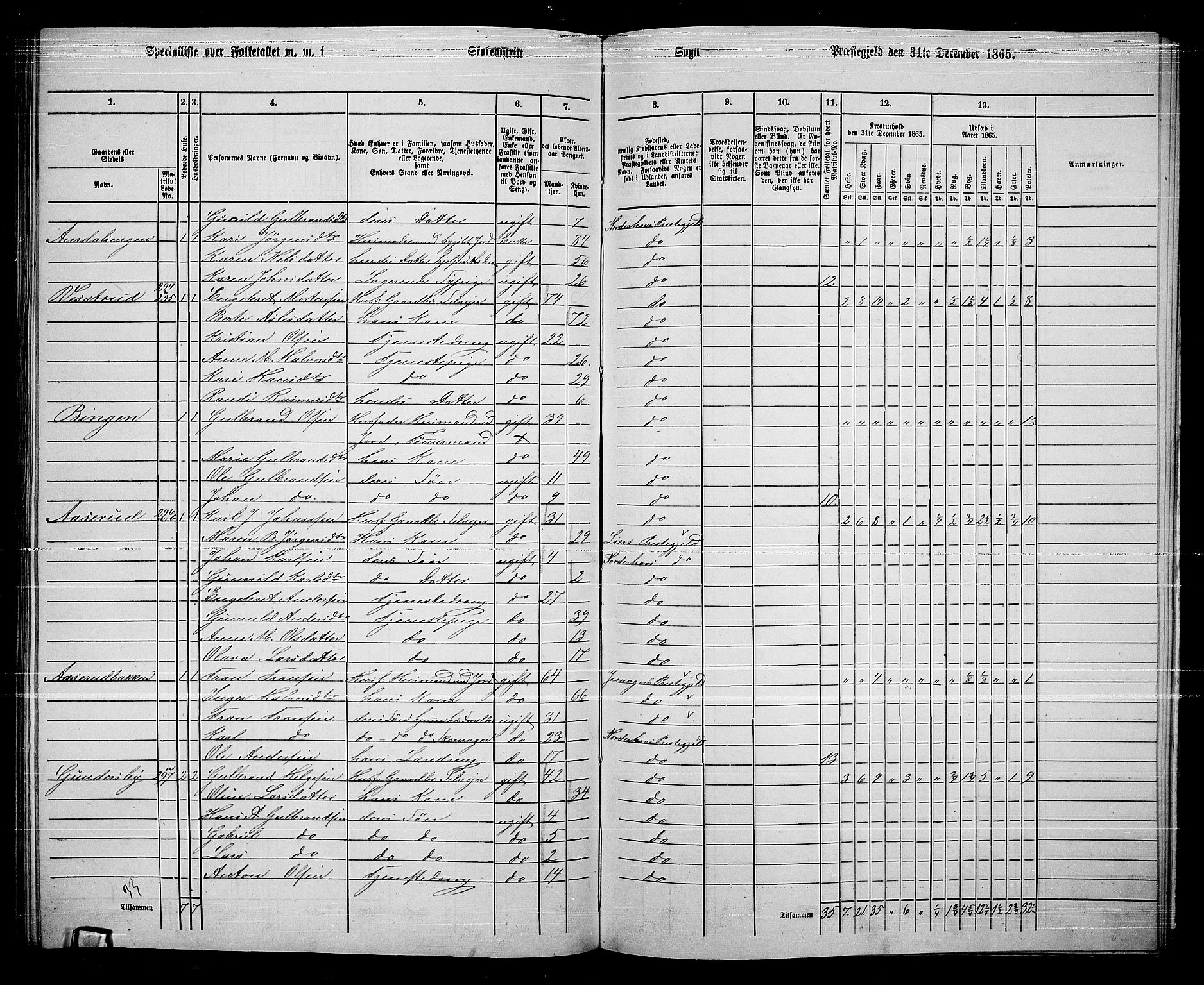 RA, 1865 census for Norderhov/Norderhov, Haug og Lunder, 1865, p. 252