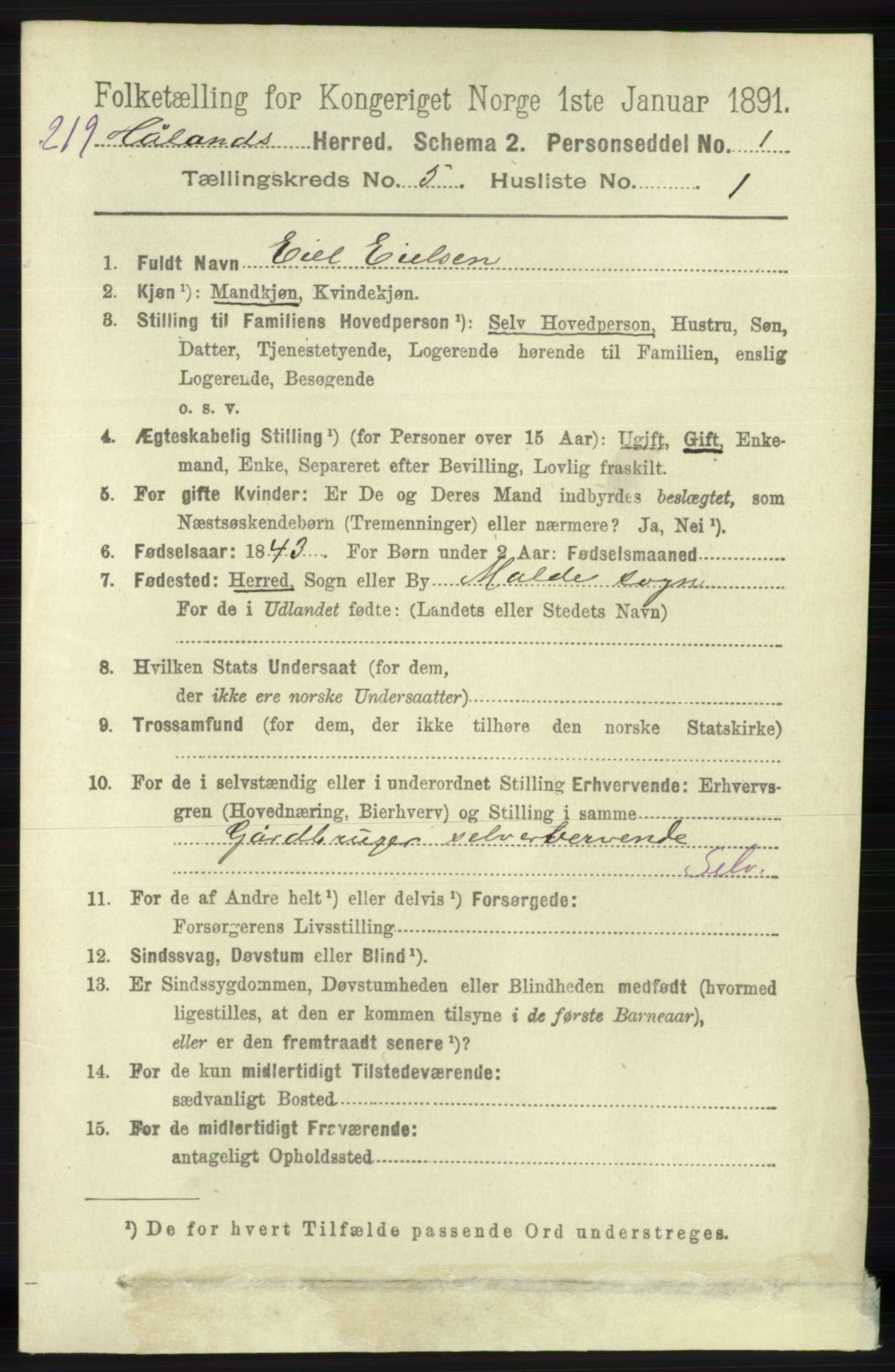 RA, 1891 census for 1124 Haaland, 1891, p. 3299