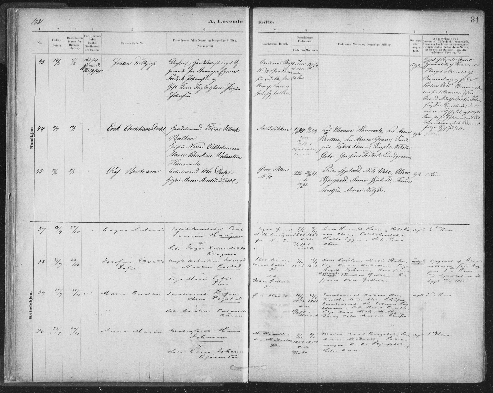 Ministerialprotokoller, klokkerbøker og fødselsregistre - Sør-Trøndelag, AV/SAT-A-1456/603/L0162: Parish register (official) no. 603A01, 1879-1895, p. 31