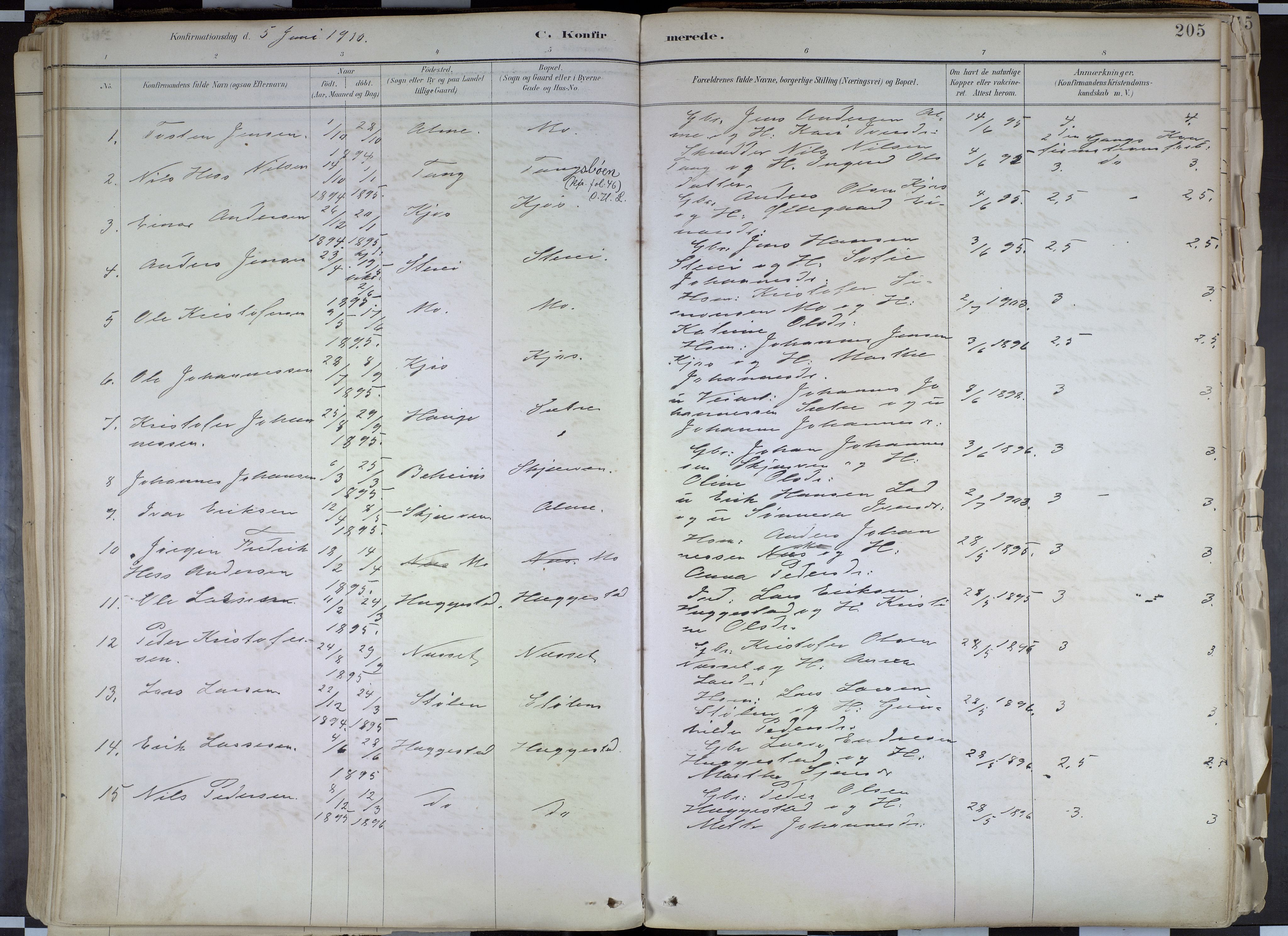 Hafslo sokneprestembete, SAB/A-80301/H/Haa/Haab/L0001: Parish register (official) no. B 1, 1886-1945, p. 205