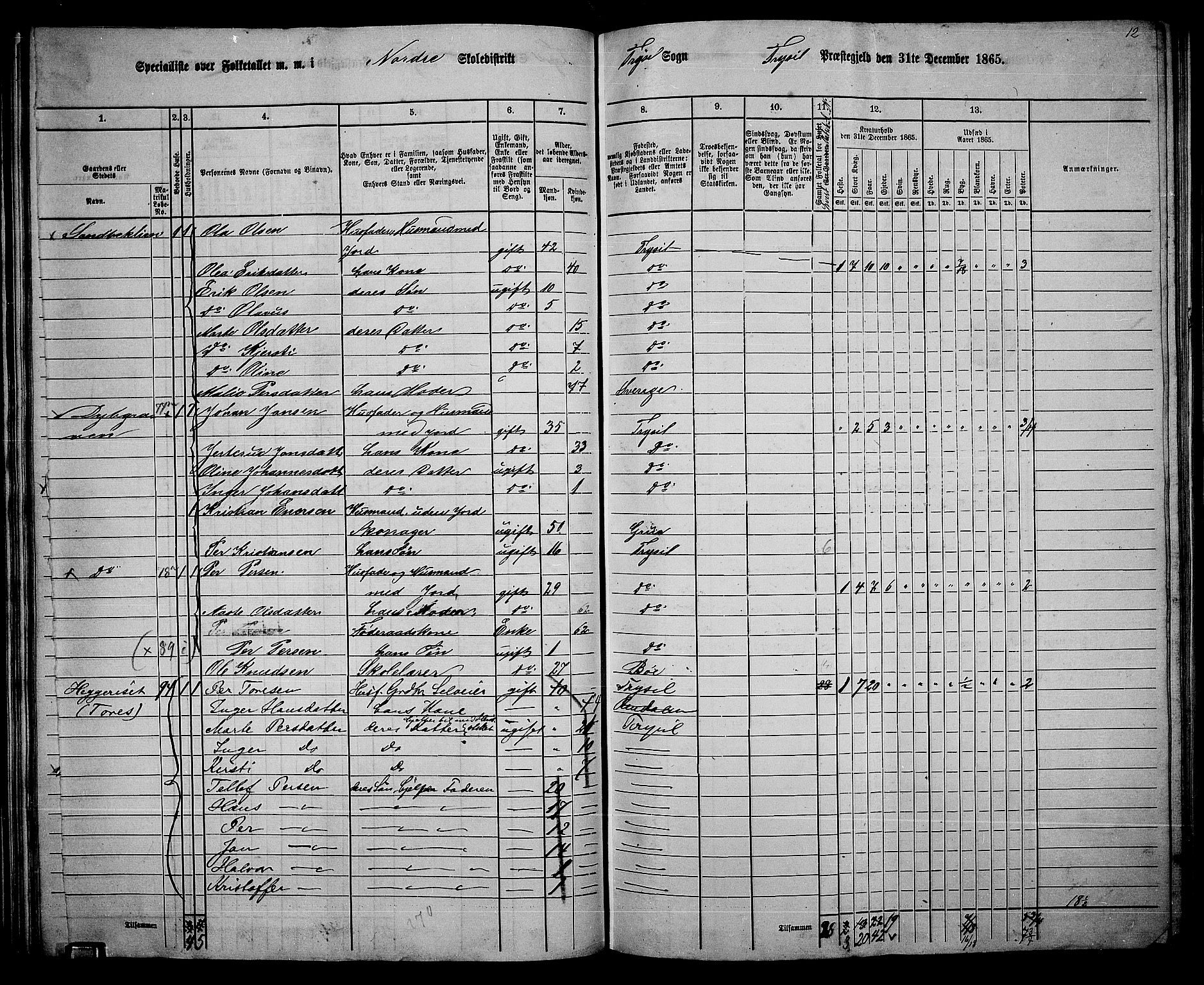 RA, 1865 census for Trysil, 1865, p. 55