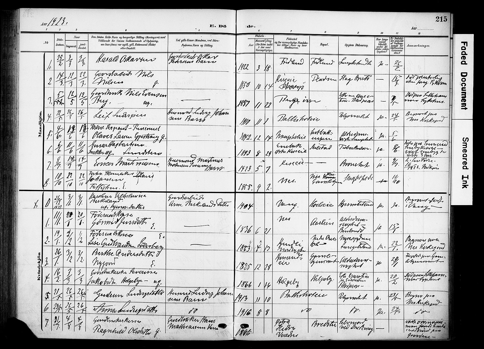 Nes prestekontor, Hedmark, SAH/PREST-020/K/Ka/L0013: Parish register (official) no. 13, 1906-1924, p. 215