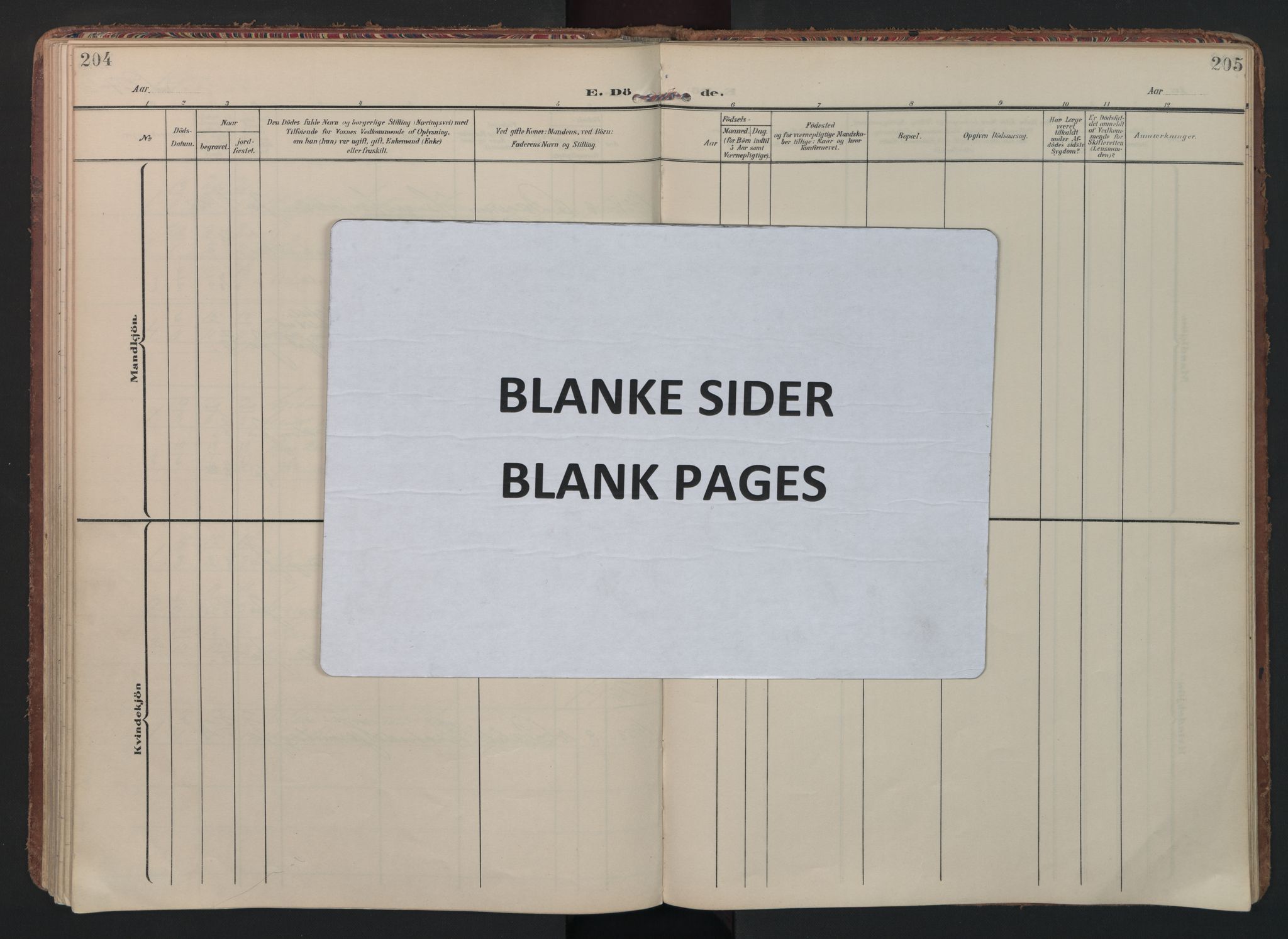 Rakkestad prestekontor Kirkebøker, SAO/A-2008/F/Fc/L0002: Parish register (official) no. III 2, 1906-1928, p. 204-205