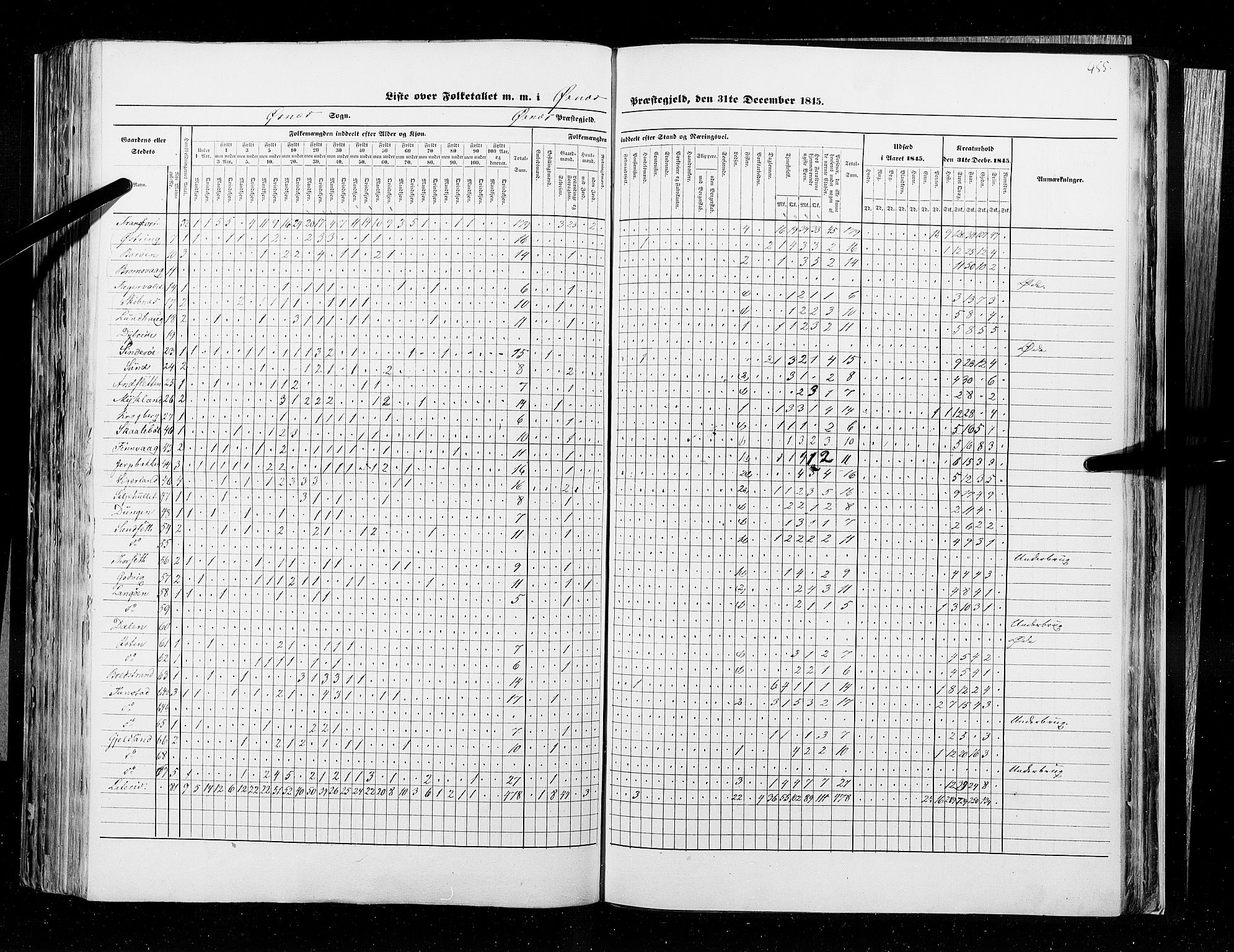 RA, Census 1845, vol. 9B: Nordland amt, 1845, p. 455