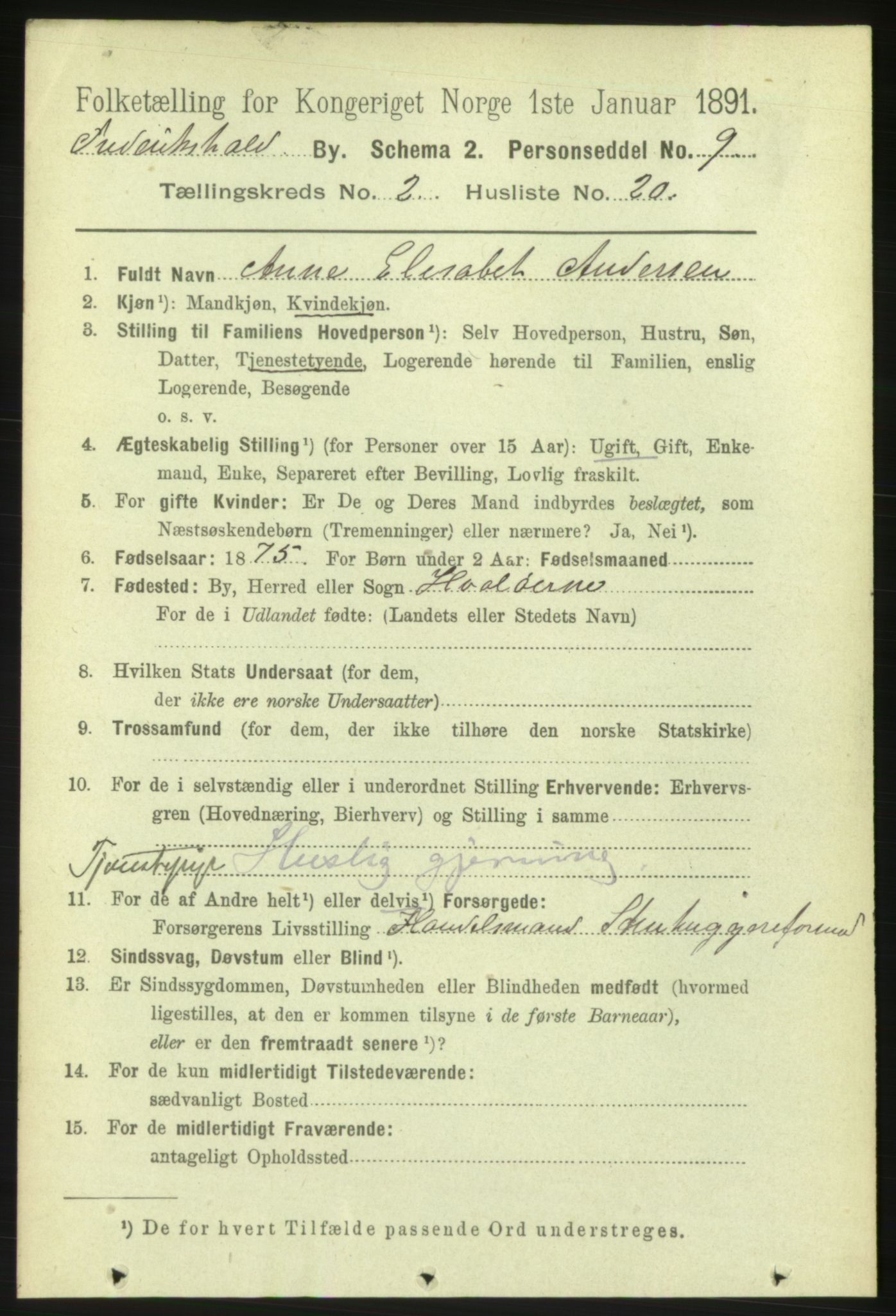 RA, 1891 census for 0101 Fredrikshald, 1891, p. 2892