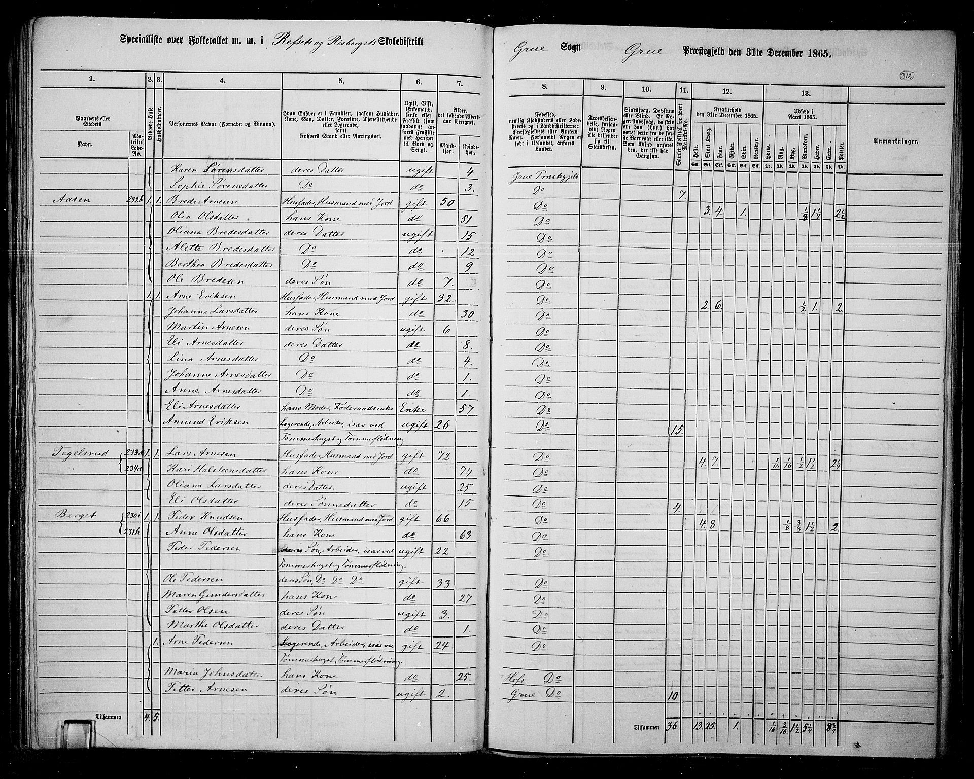 RA, 1865 census for Grue, 1865, p. 275