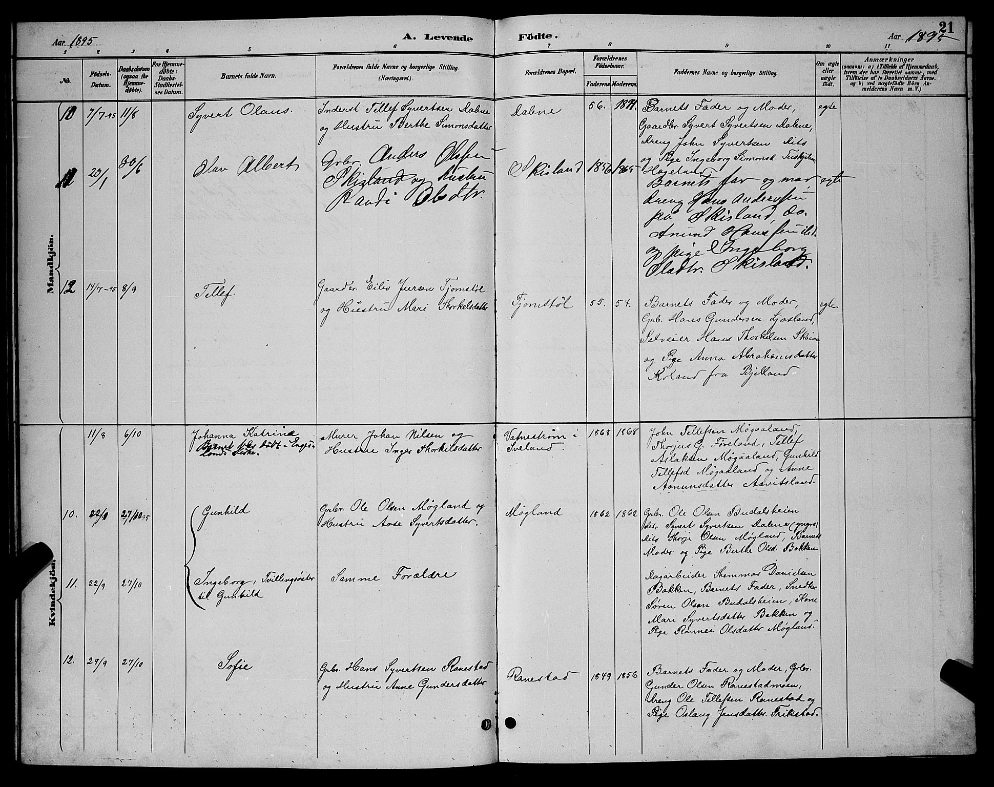 Evje sokneprestkontor, AV/SAK-1111-0008/F/Fb/Fbc/L0004: Parish register (copy) no. B 4, 1890-1900, p. 21