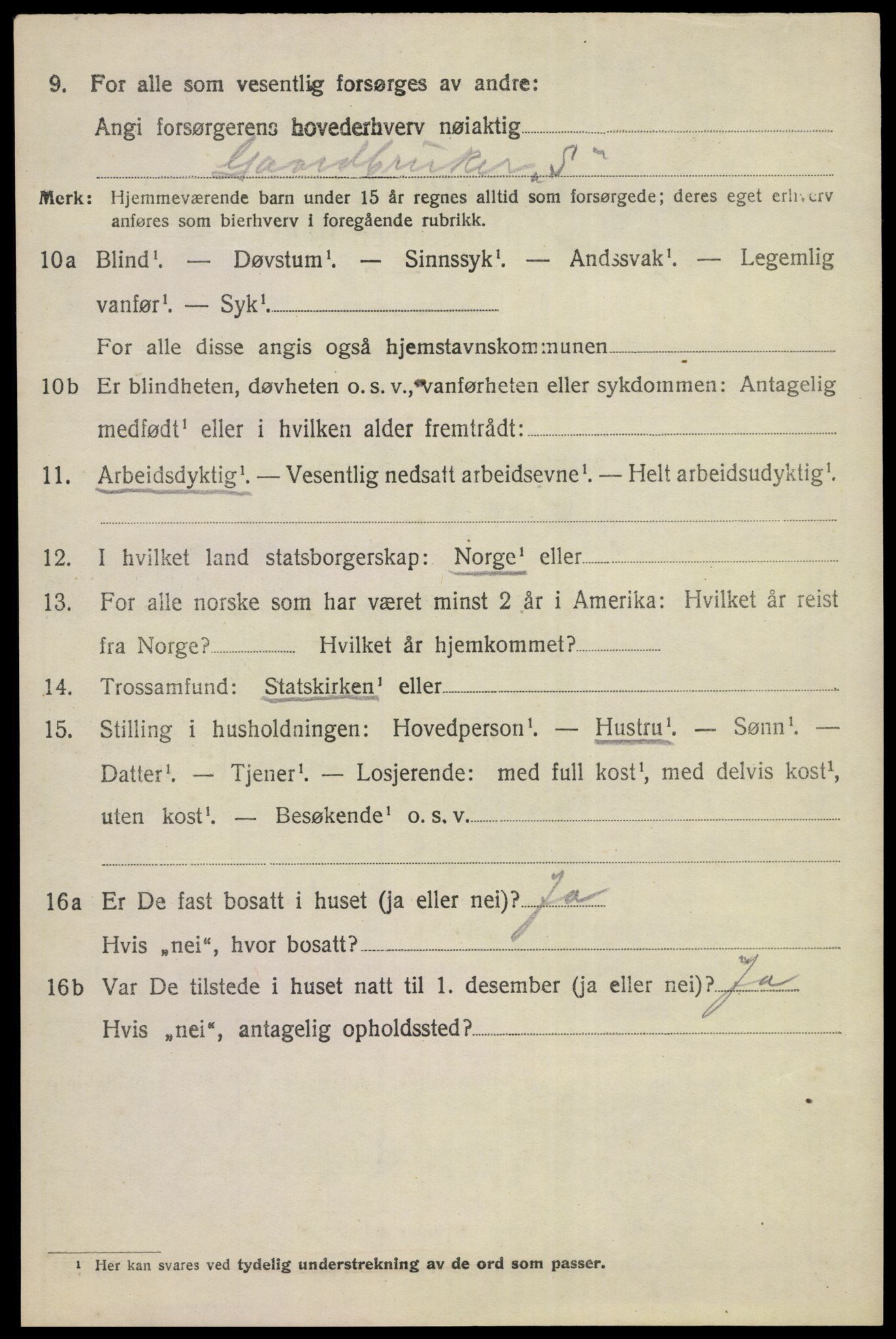 SAKO, 1920 census for Nes (Buskerud), 1920, p. 5205