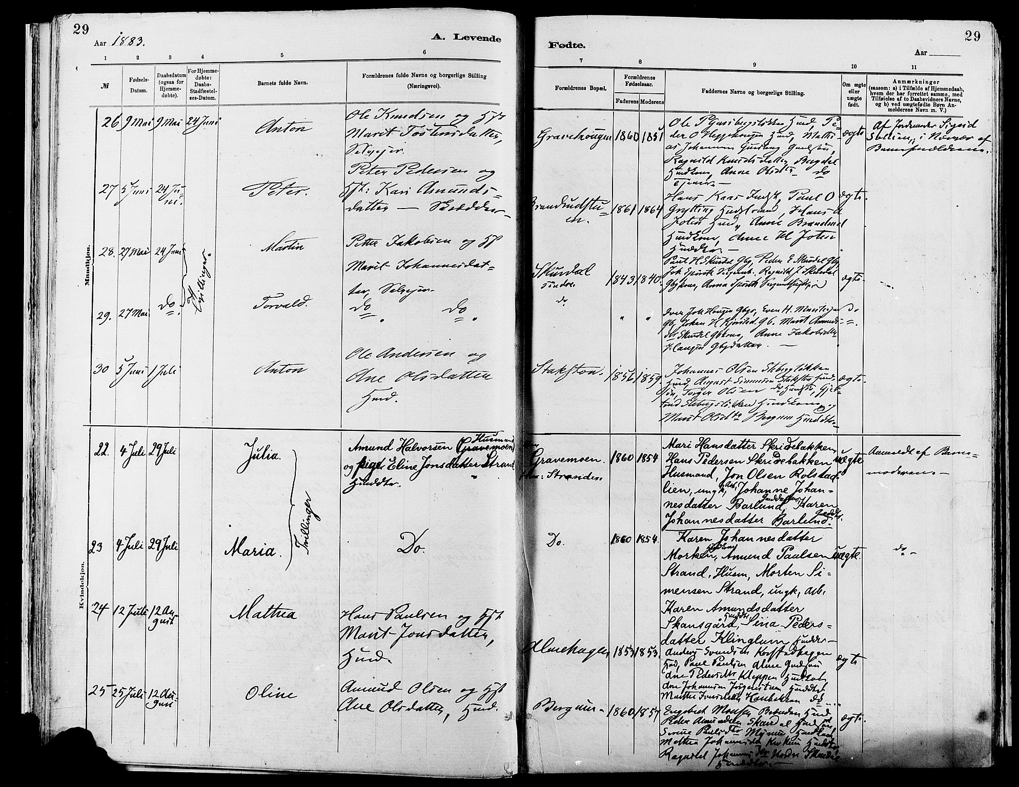 Sør-Fron prestekontor, AV/SAH-PREST-010/H/Ha/Haa/L0003: Parish register (official) no. 3, 1881-1897, p. 29