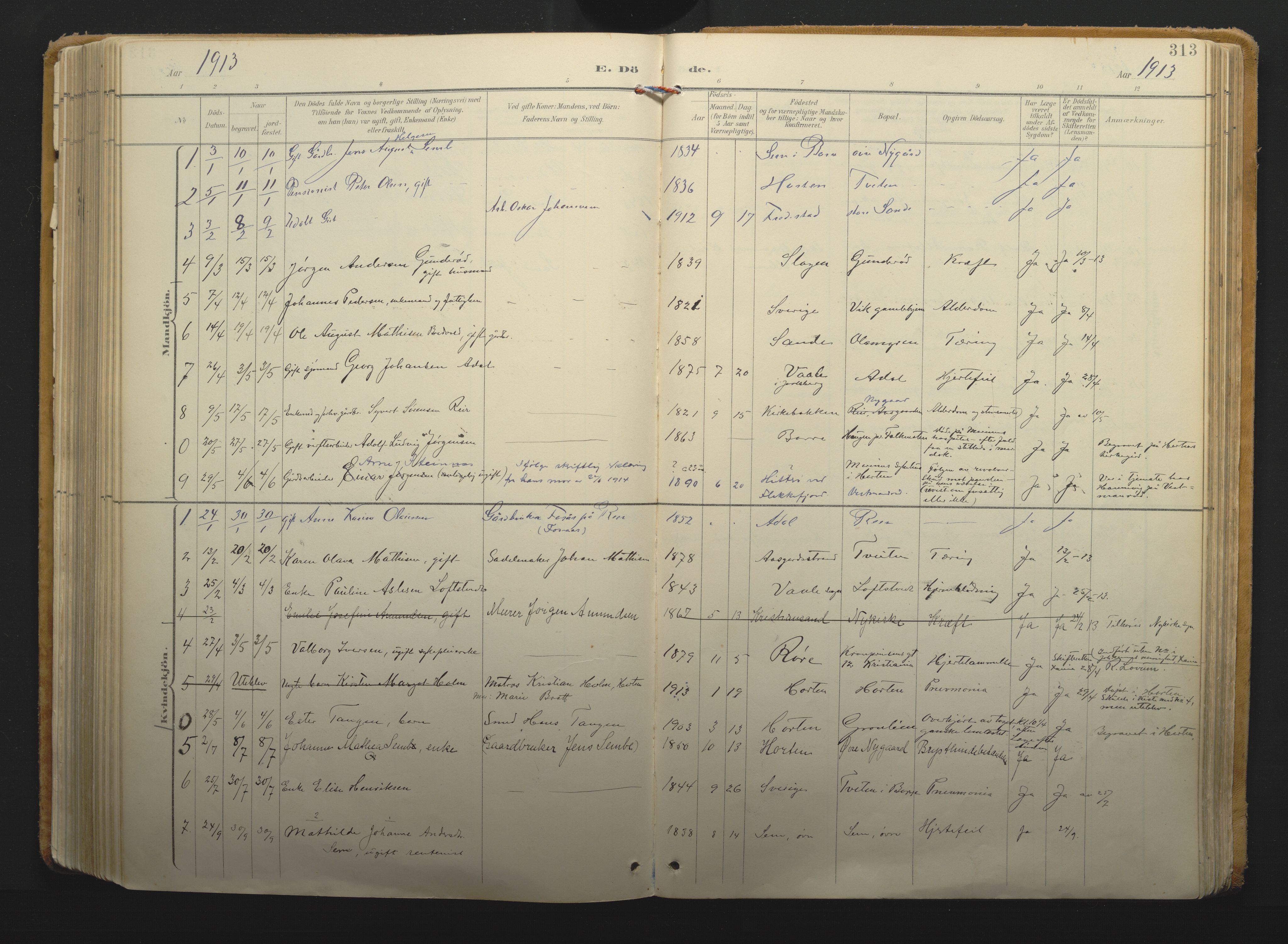 Borre kirkebøker, AV/SAKO-A-338/F/Fa/L0011: Parish register (official) no. I 11, 1897-1921, p. 313