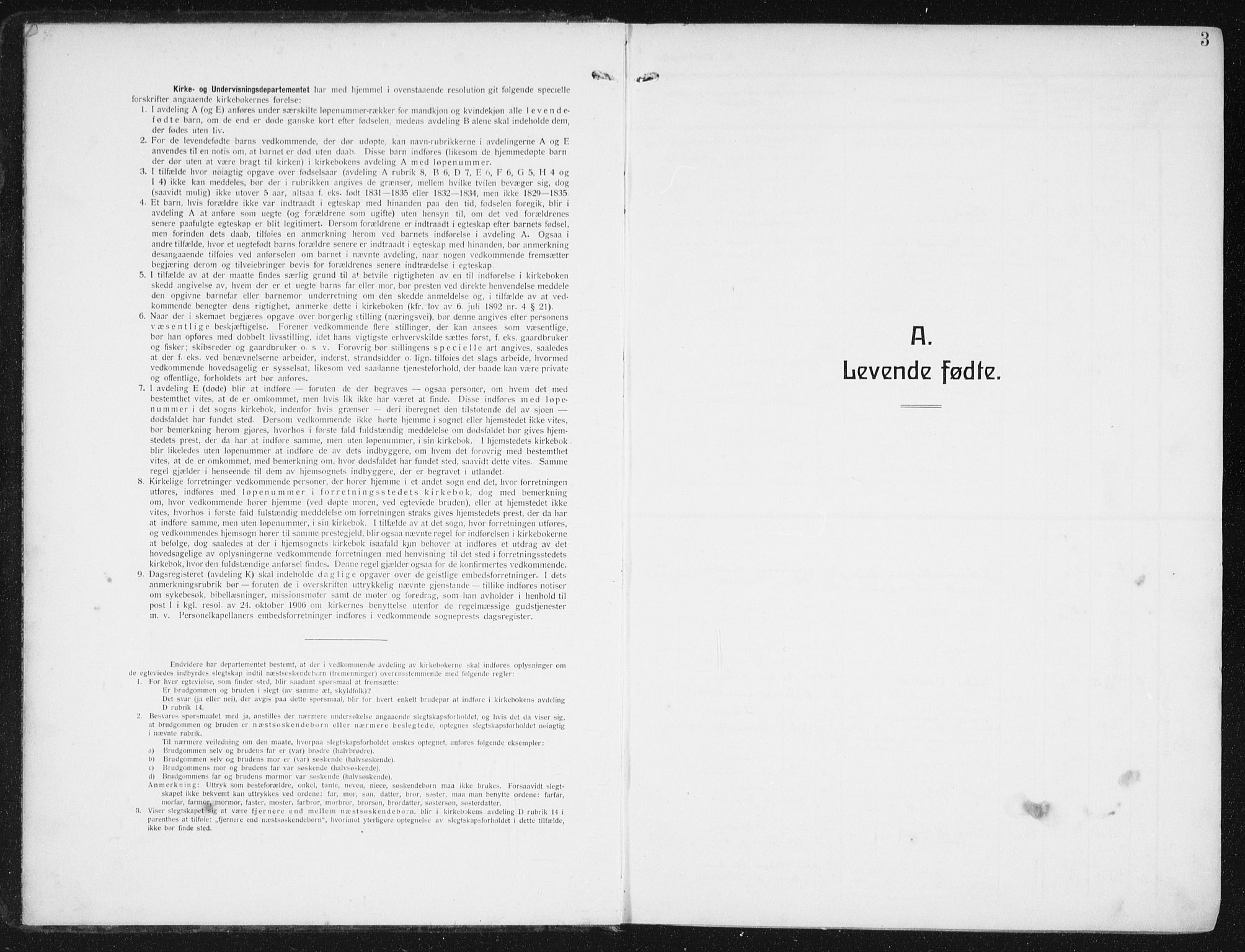 Ministerialprotokoller, klokkerbøker og fødselsregistre - Nordland, AV/SAT-A-1459/880/L1135: Parish register (official) no. 880A09, 1908-1919, p. 3