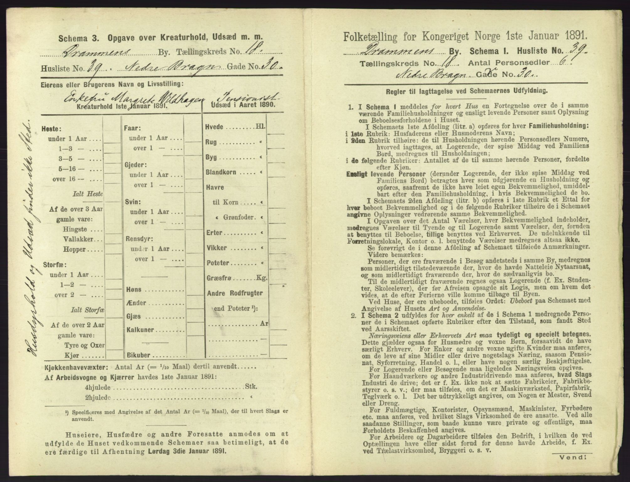 RA, 1891 census for 0602 Drammen, 1891, p. 1565