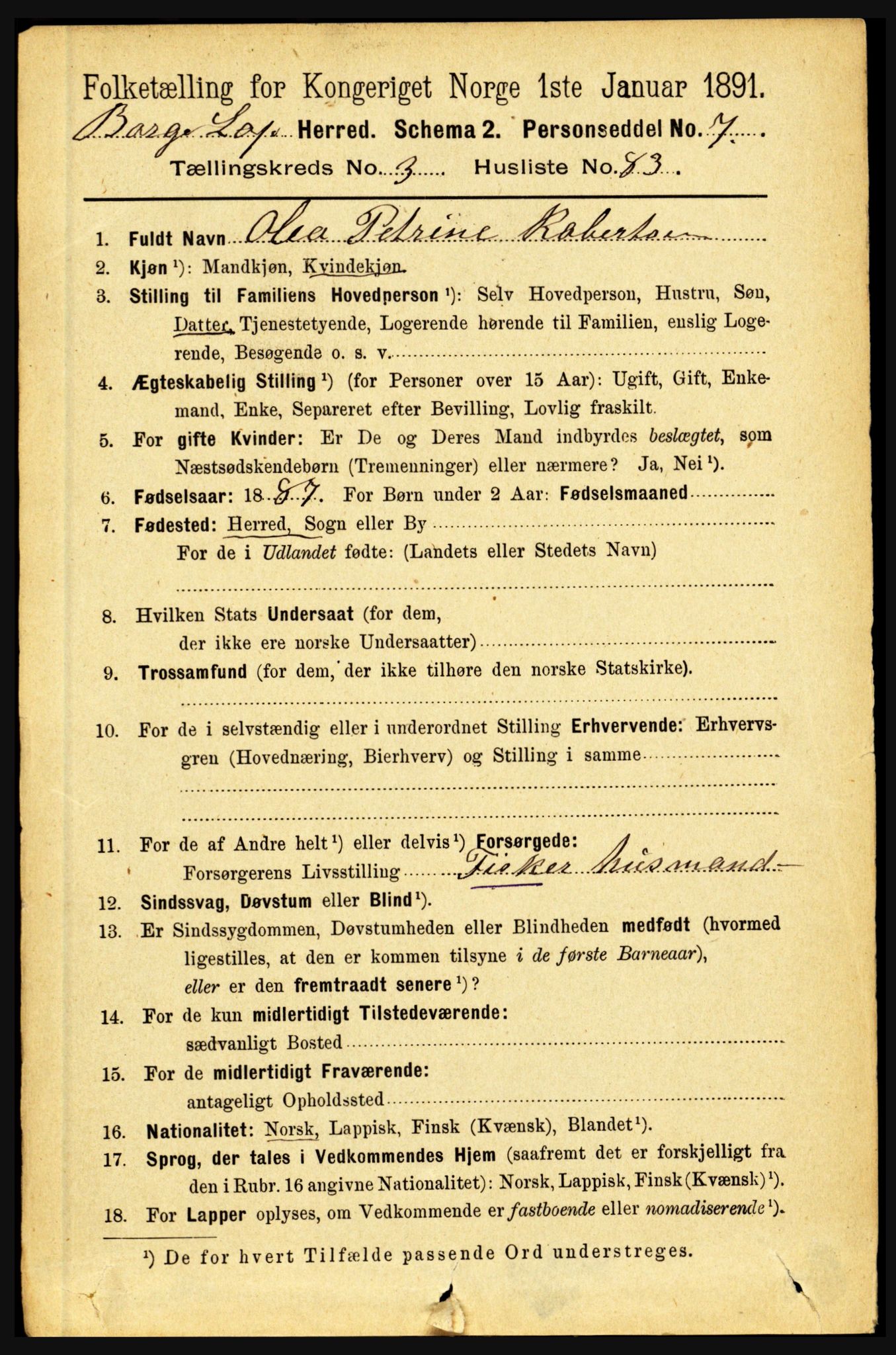 RA, 1891 census for 1862 Borge, 1891, p. 2037