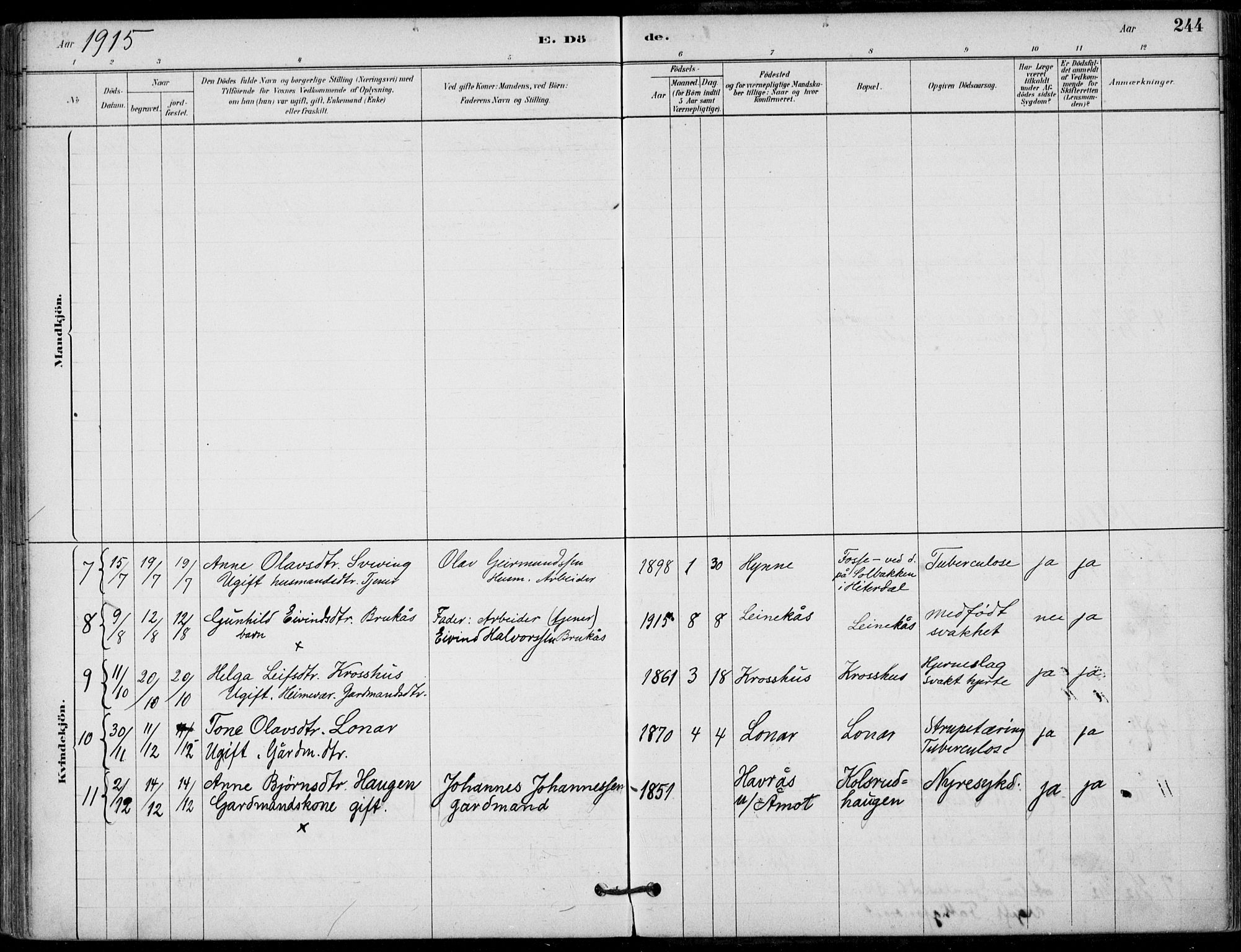 Hjartdal kirkebøker, SAKO/A-270/F/Fb/L0002: Parish register (official) no. II 2, 1880-1932, p. 244