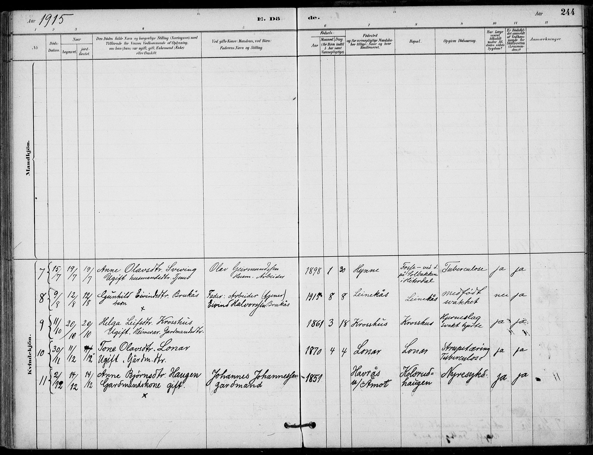 Hjartdal kirkebøker, AV/SAKO-A-270/F/Fb/L0002: Parish register (official) no. II 2, 1880-1932, p. 244