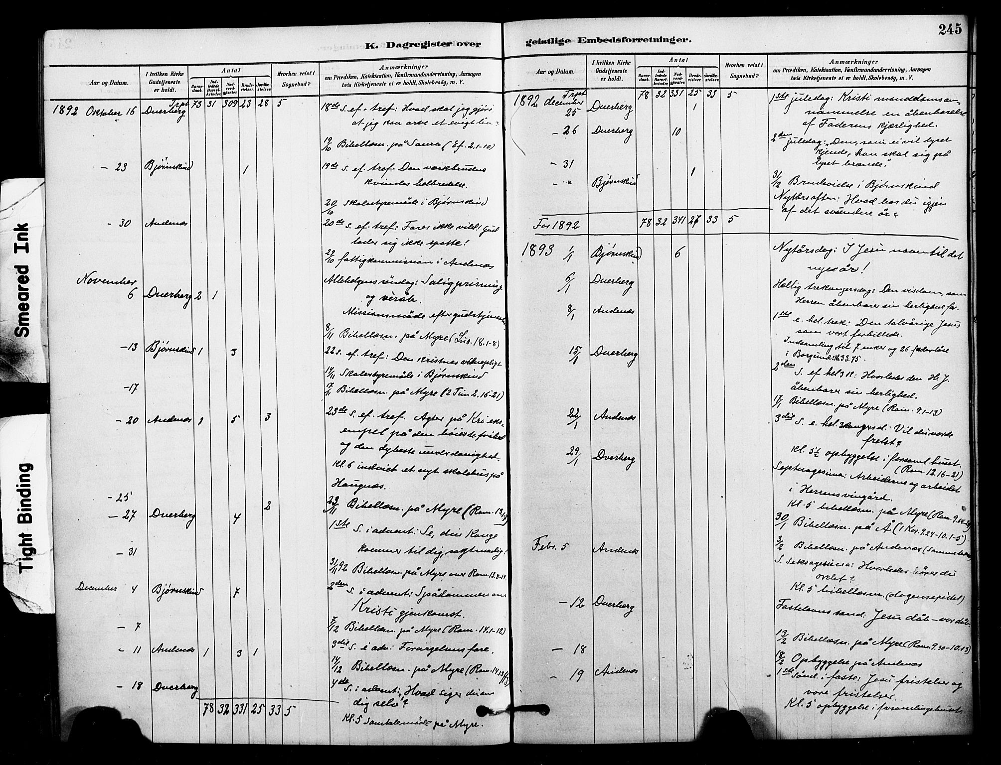 Ministerialprotokoller, klokkerbøker og fødselsregistre - Nordland, AV/SAT-A-1459/897/L1399: Parish register (official) no. 897C06, 1881-1896, p. 245