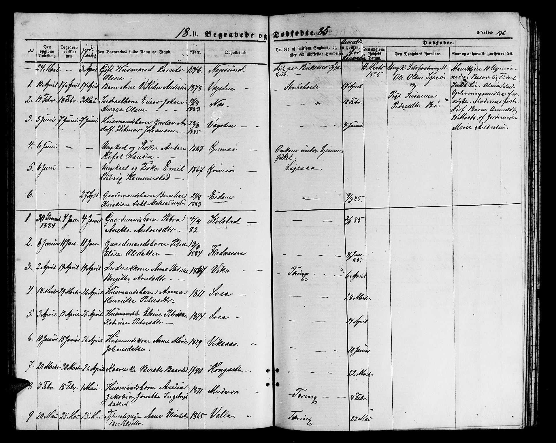 Ministerialprotokoller, klokkerbøker og fødselsregistre - Nordland, AV/SAT-A-1459/816/L0252: Parish register (copy) no. 816C02, 1871-1885, p. 196