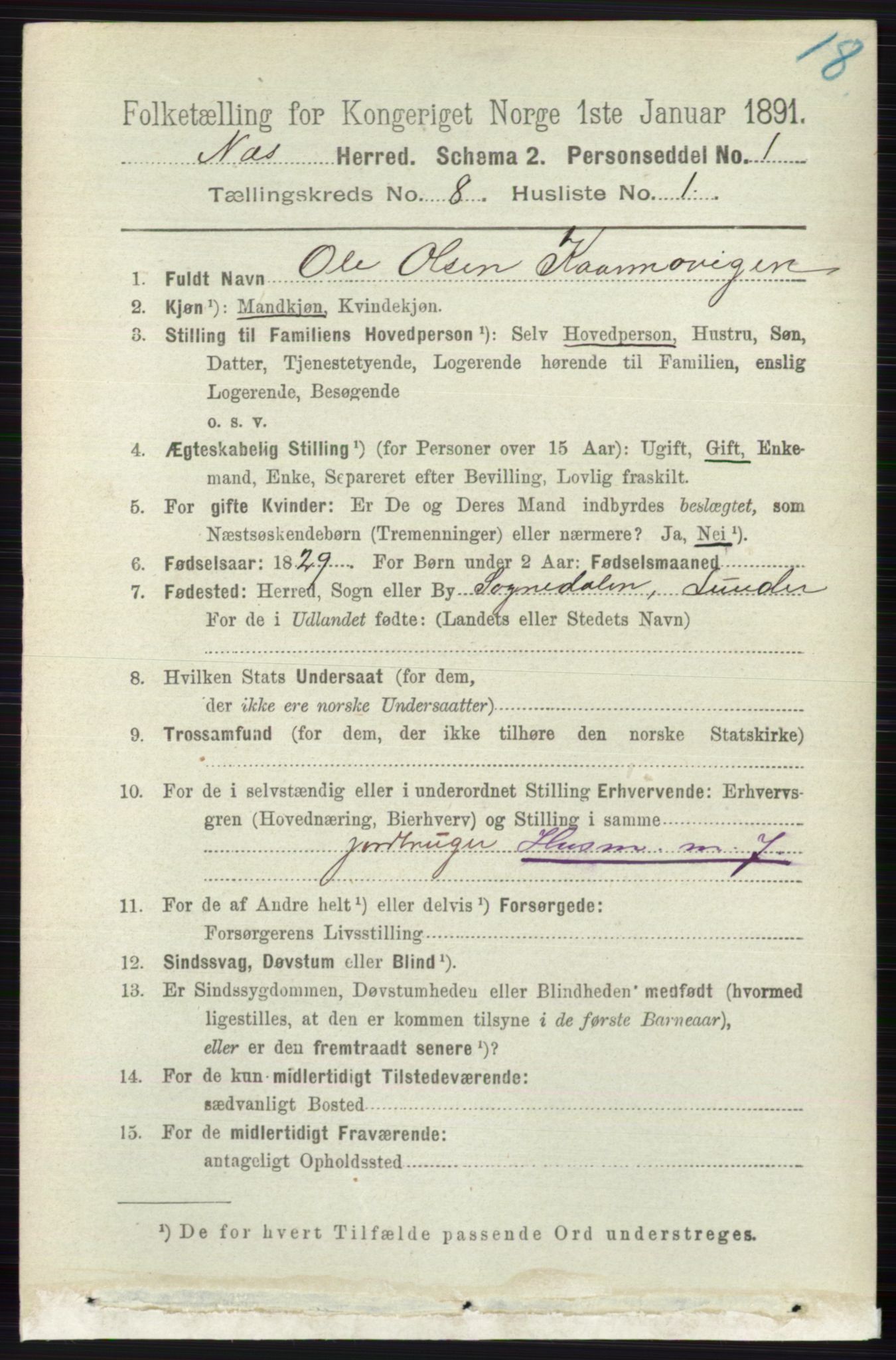 RA, 1891 census for 0616 Nes, 1891, p. 4079
