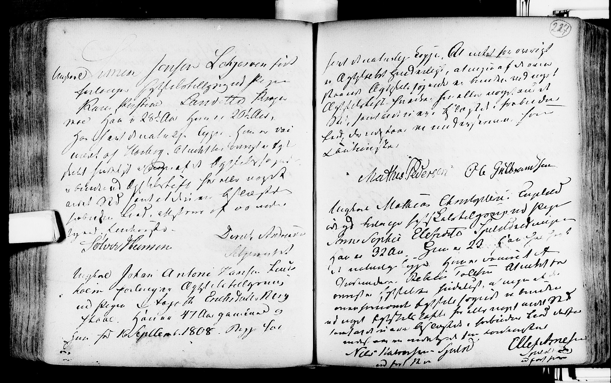 Lardal kirkebøker, AV/SAKO-A-350/F/Fa/L0004: Parish register (official) no. i 4, 1733-1815, p. 227