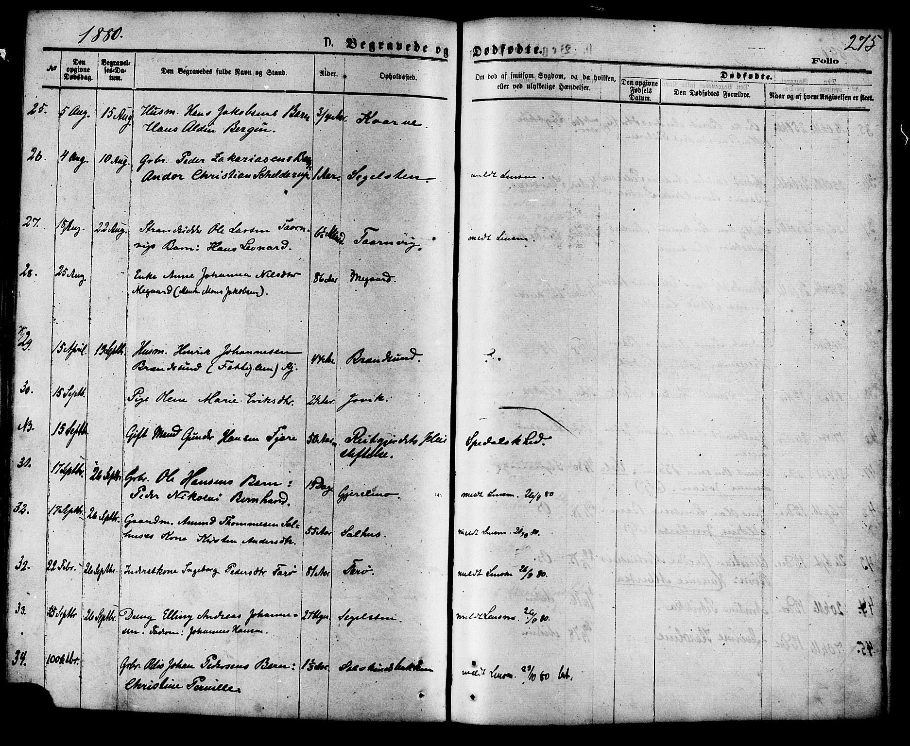 Ministerialprotokoller, klokkerbøker og fødselsregistre - Nordland, AV/SAT-A-1459/853/L0771: Parish register (official) no. 853A10, 1870-1881, p. 275
