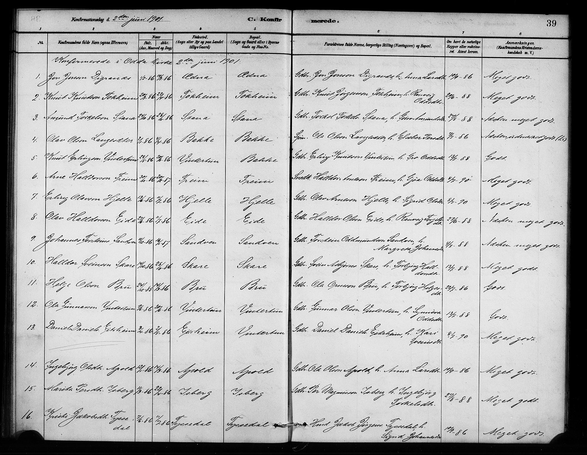 Odda Sokneprestembete, SAB/A-77201/H/Haa: Parish register (official) no. A 2, 1880-1915, p. 39