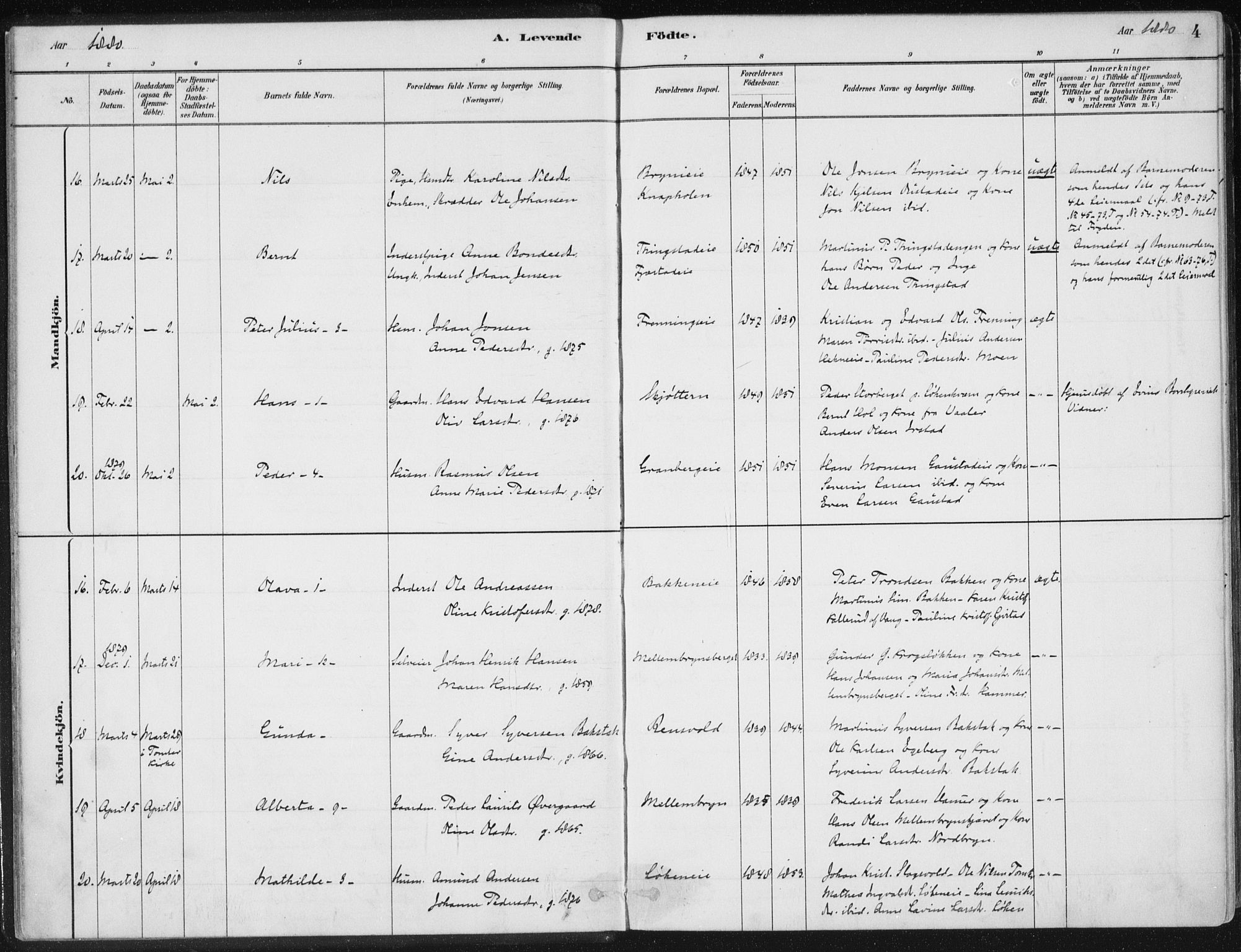 Romedal prestekontor, SAH/PREST-004/K/L0010: Parish register (official) no. 10, 1880-1895, p. 4