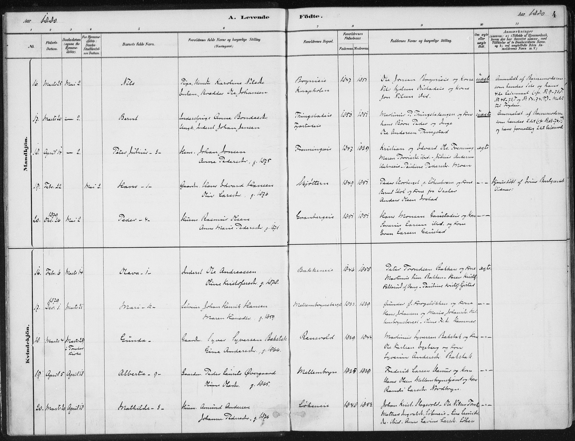Romedal prestekontor, AV/SAH-PREST-004/K/L0010: Parish register (official) no. 10, 1880-1895, p. 4