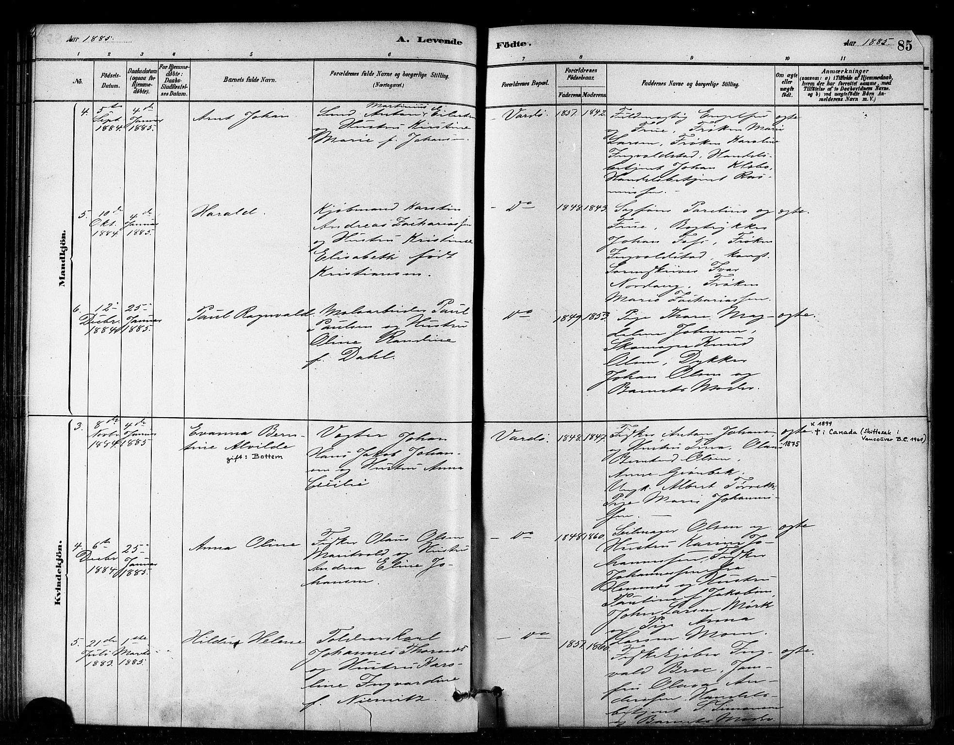 Vardø sokneprestkontor, AV/SATØ-S-1332/H/Ha/L0006kirke: Parish register (official) no. 6, 1879-1886, p. 85