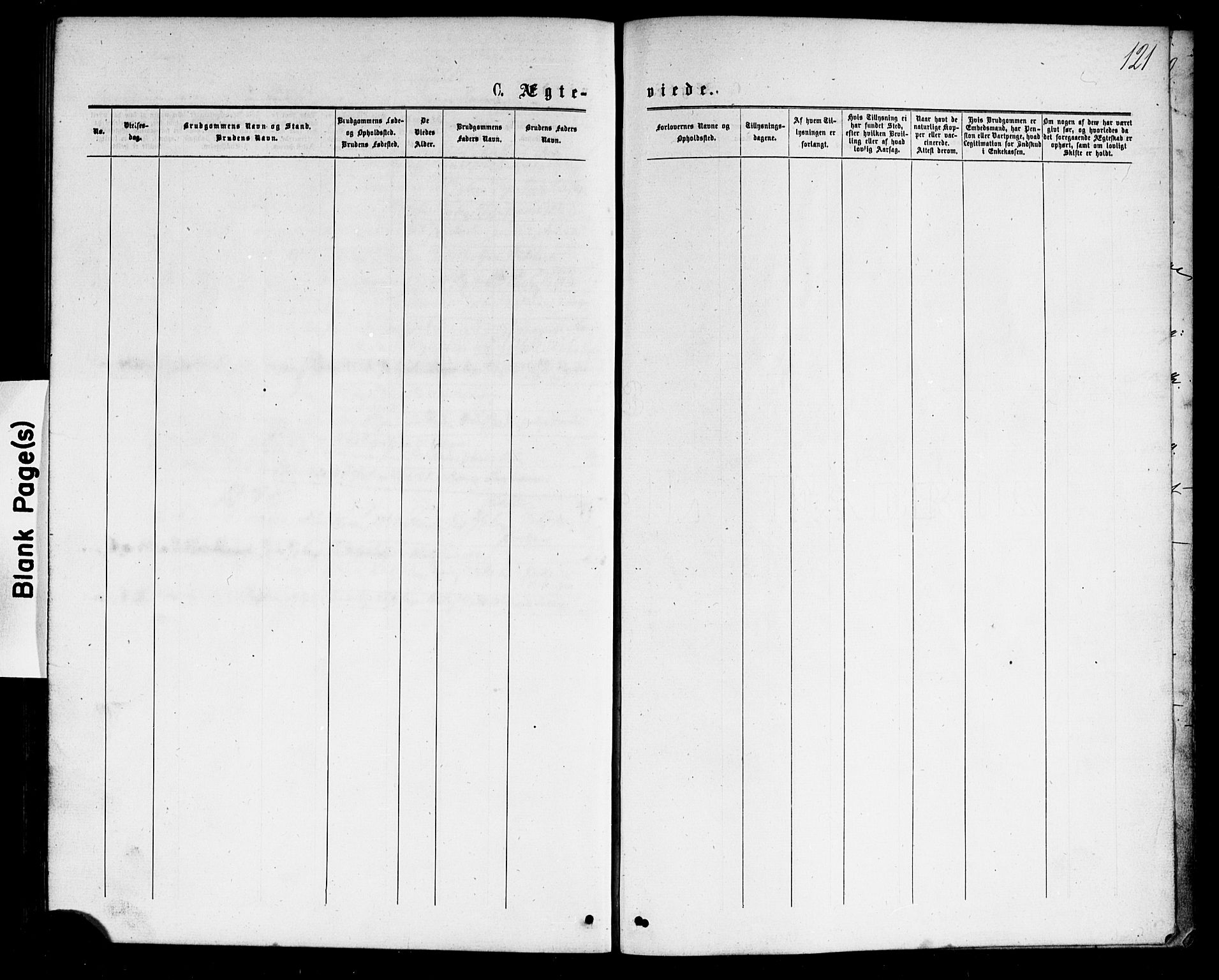 Strømsø kirkebøker, AV/SAKO-A-246/G/Ga/L0002: Parish register (copy) no. 2, 1877-1896, p. 121