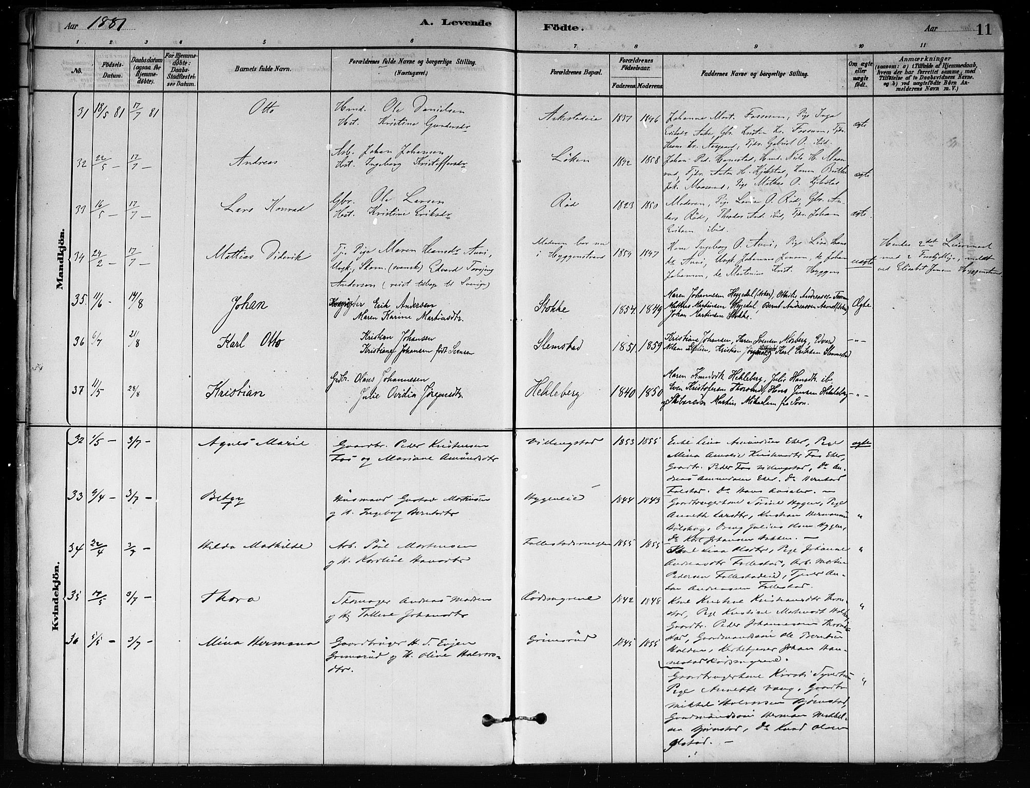 Røyken kirkebøker, SAKO/A-241/F/Fa/L0008: Parish register (official) no. 8, 1880-1897, p. 11