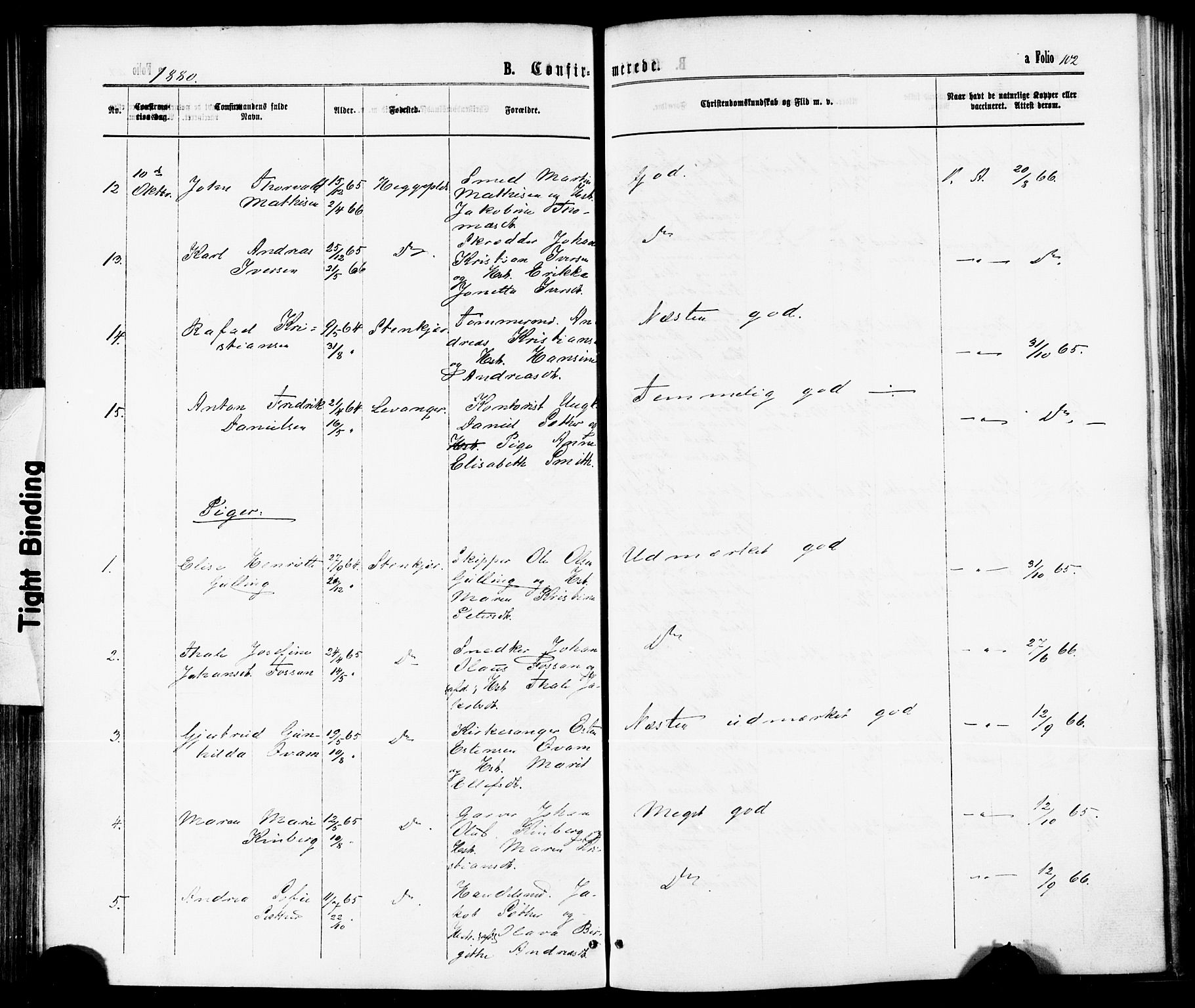 Ministerialprotokoller, klokkerbøker og fødselsregistre - Nord-Trøndelag, AV/SAT-A-1458/739/L0370: Parish register (official) no. 739A02, 1868-1881, p. 102