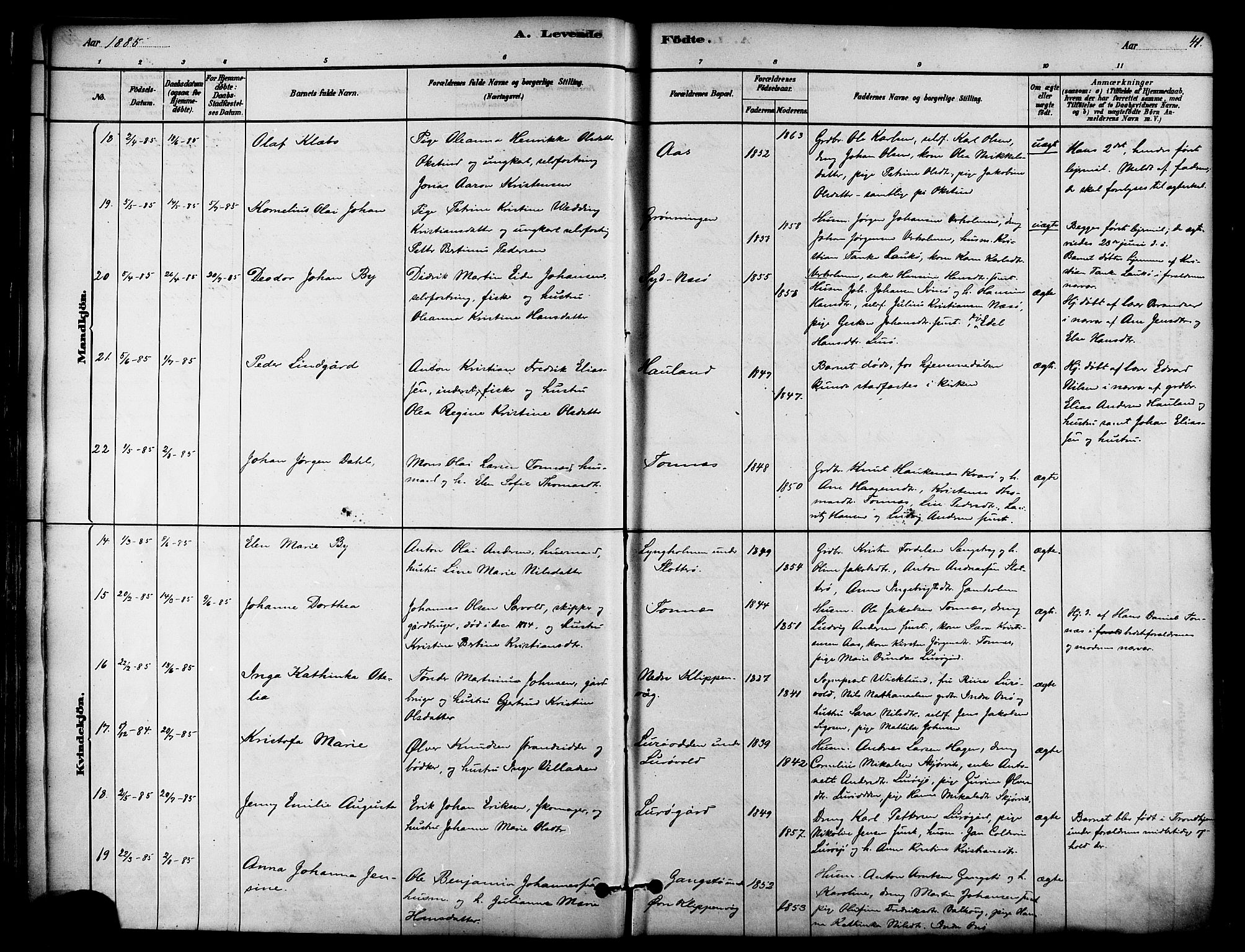 Ministerialprotokoller, klokkerbøker og fødselsregistre - Nordland, AV/SAT-A-1459/839/L0568: Parish register (official) no. 839A05, 1880-1902, p. 41