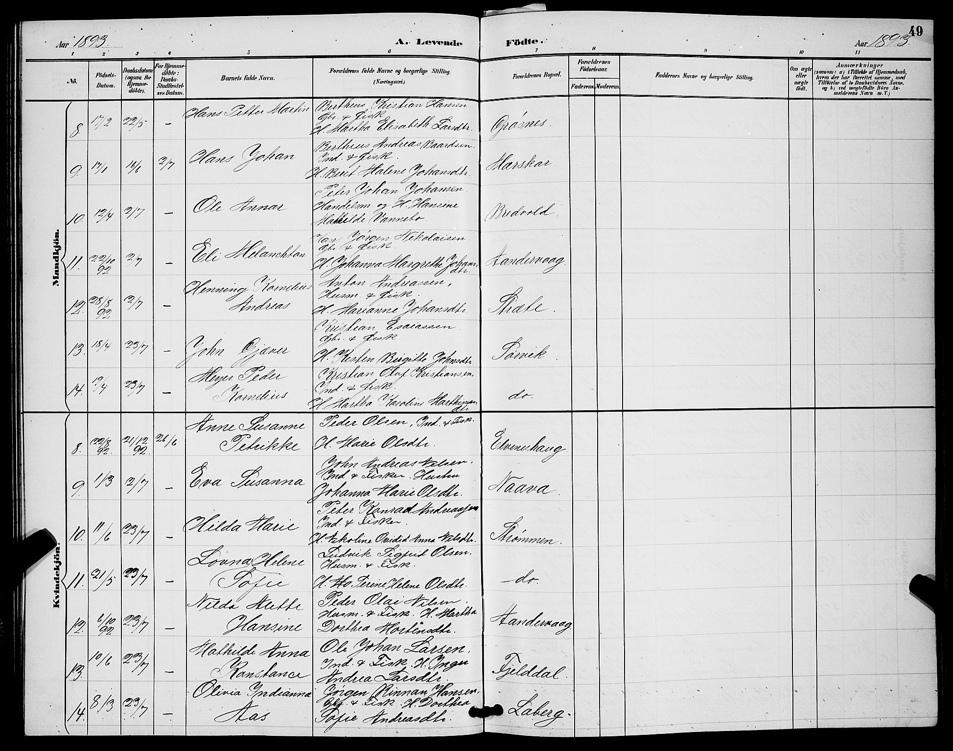 Ibestad sokneprestembete, SATØ/S-0077/H/Ha/Hab/L0008klokker: Parish register (copy) no. 8, 1890-1903, p. 49