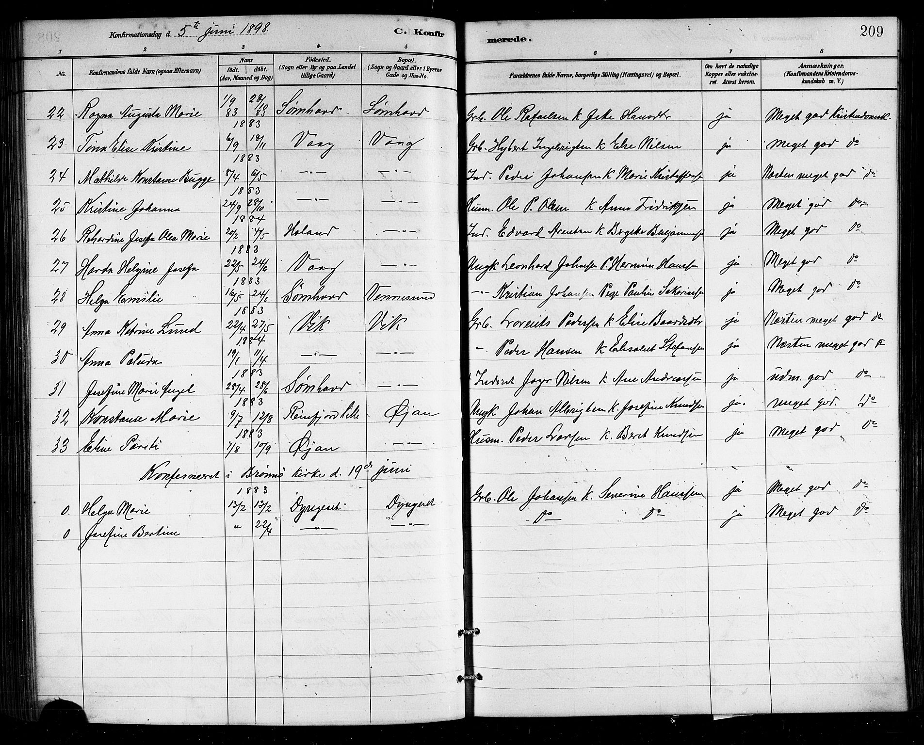 Ministerialprotokoller, klokkerbøker og fødselsregistre - Nordland, SAT/A-1459/812/L0188: Parish register (copy) no. 812C06, 1884-1912, p. 209