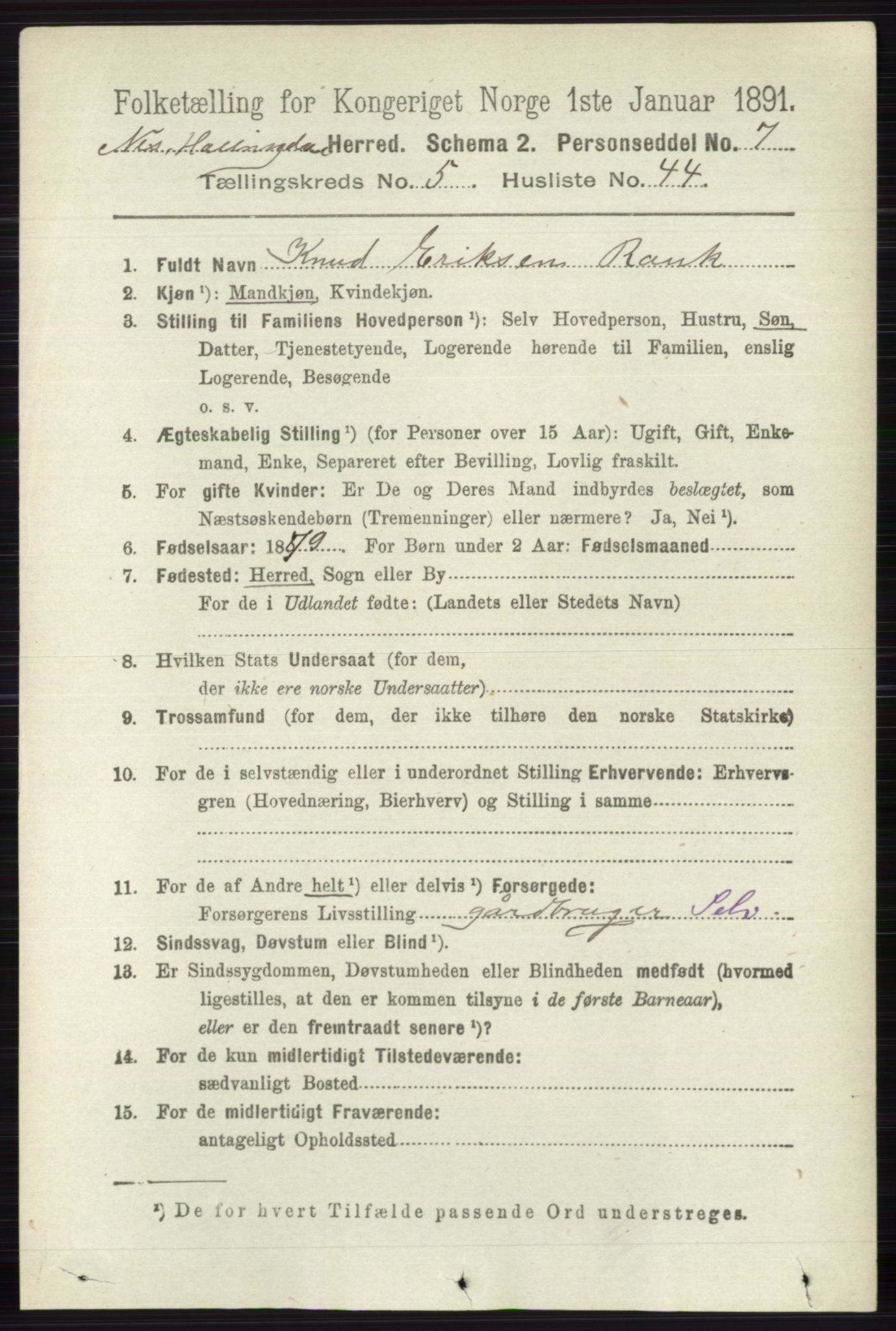 RA, 1891 census for 0616 Nes, 1891, p. 2873