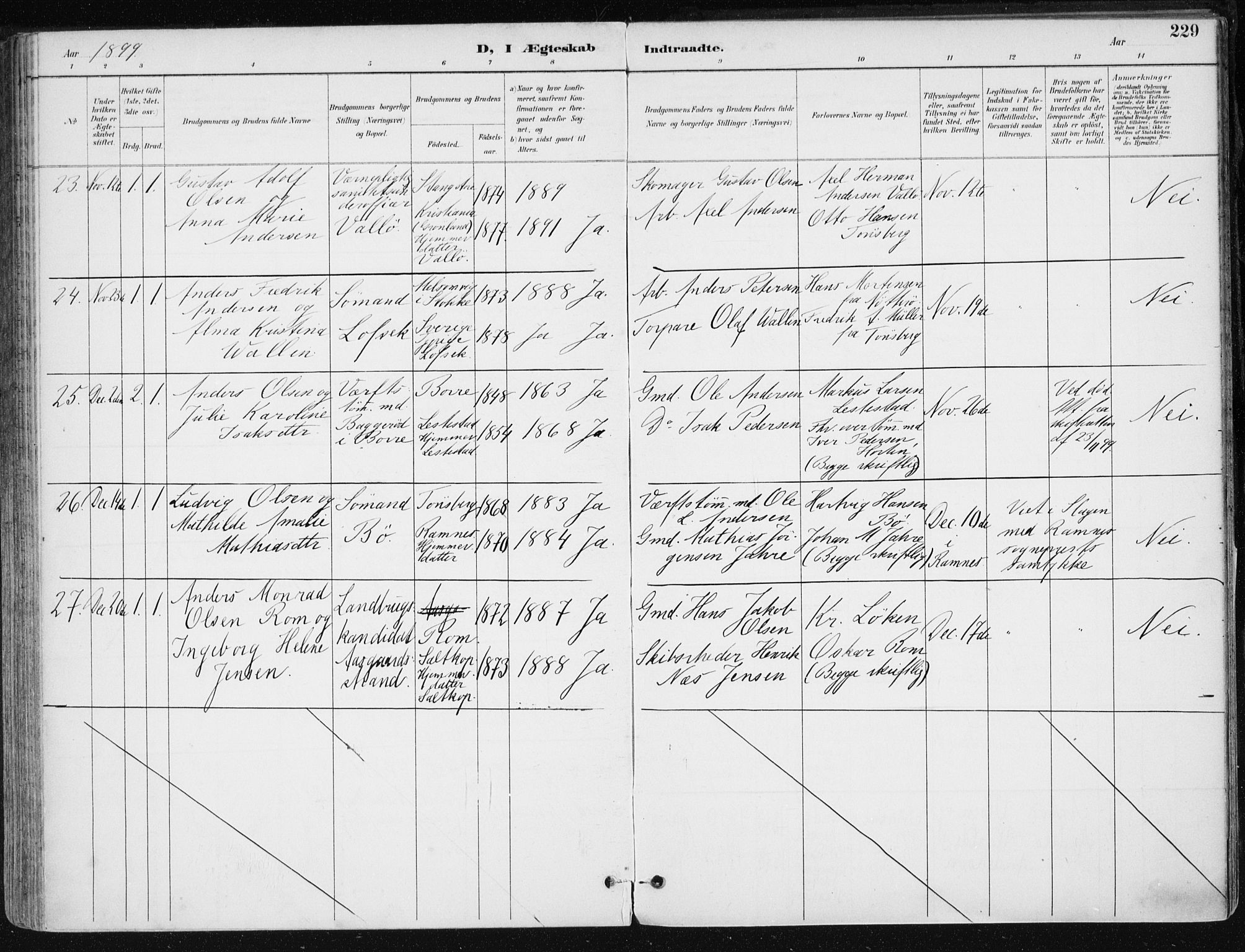 Sem kirkebøker, AV/SAKO-A-5/F/Fb/L0005: Parish register (official) no. II 5, 1892-1904, p. 229