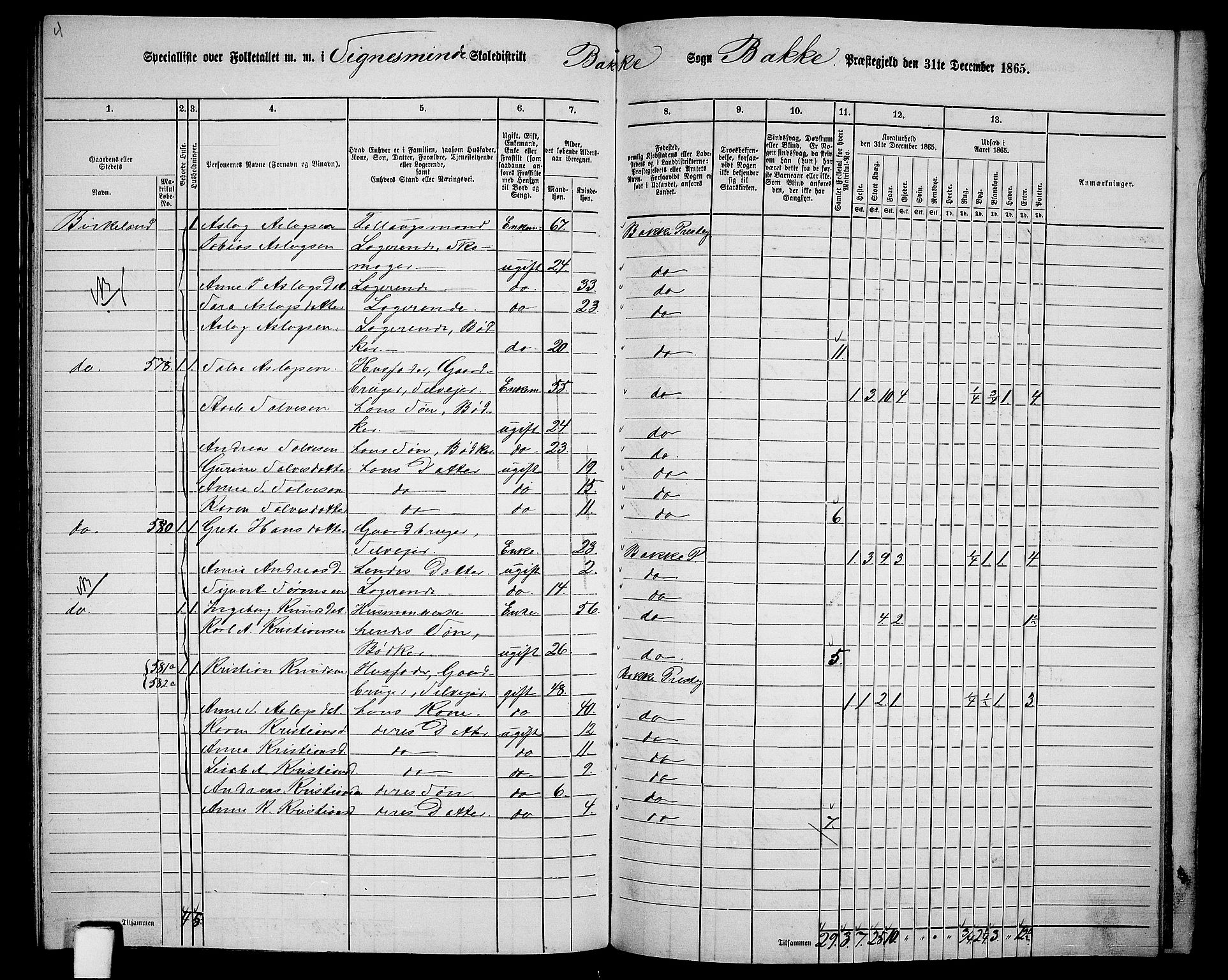 RA, 1865 census for Bakke, 1865, p. 108
