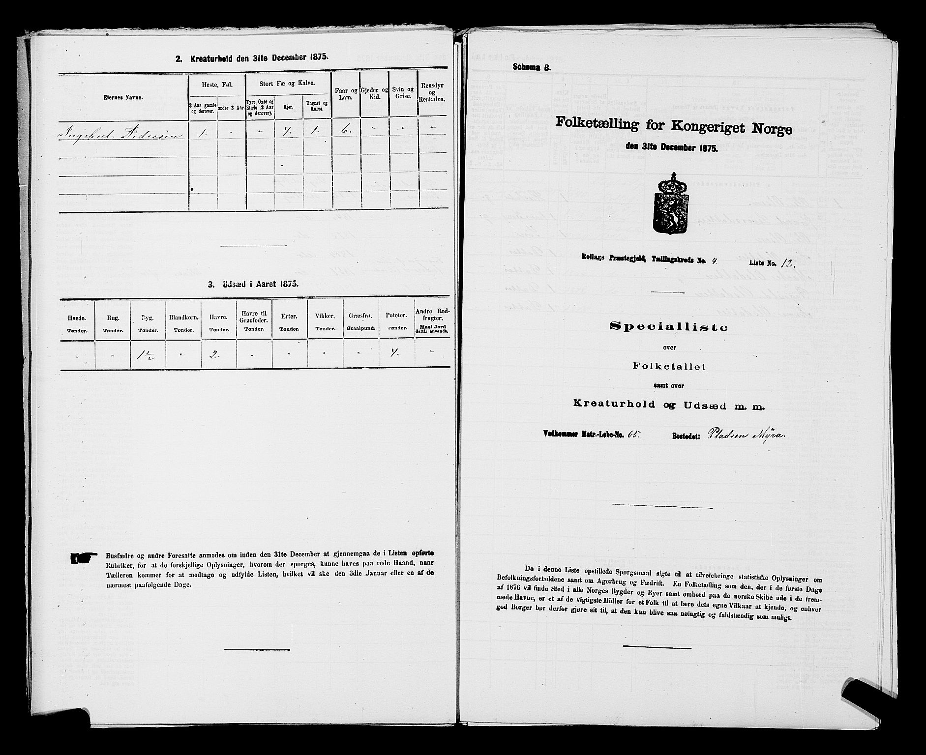 SAKO, 1875 census for 0632P Rollag, 1875, p. 257