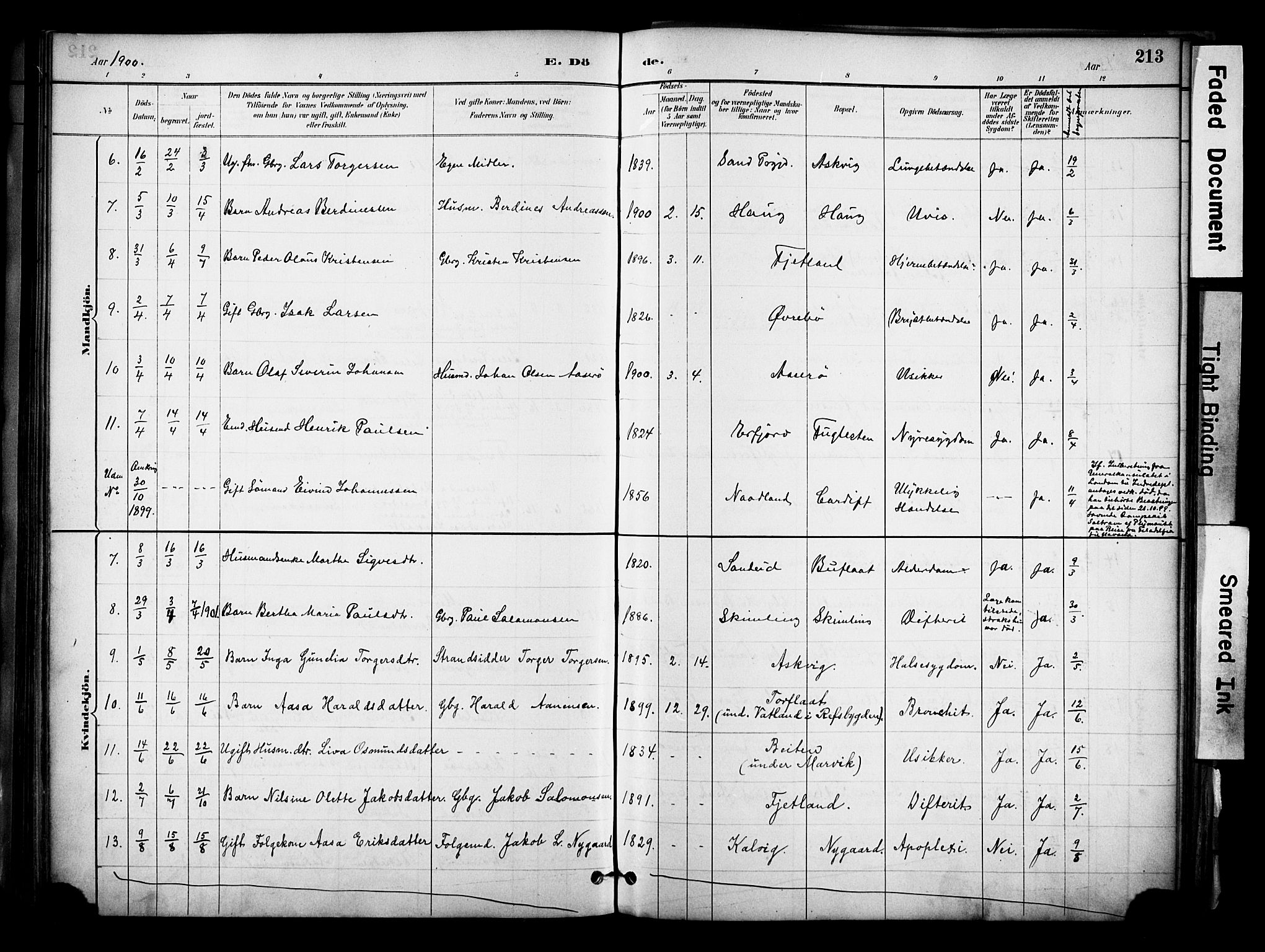 Jelsa sokneprestkontor, AV/SAST-A-101842/01/IV: Parish register (official) no. A 10, 1884-1906, p. 213