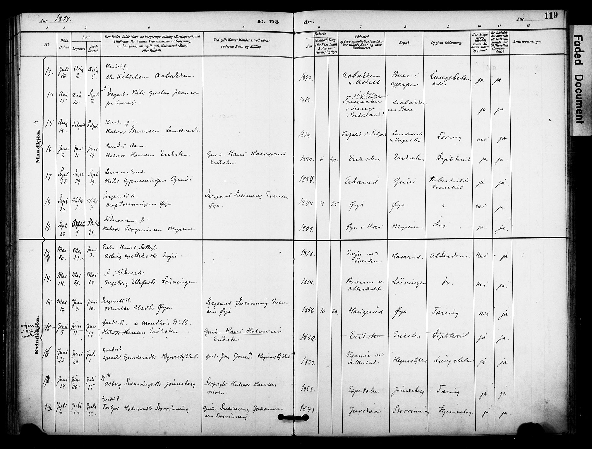 Bø kirkebøker, AV/SAKO-A-257/F/Fa/L0011: Parish register (official) no. 11, 1892-1900, p. 119